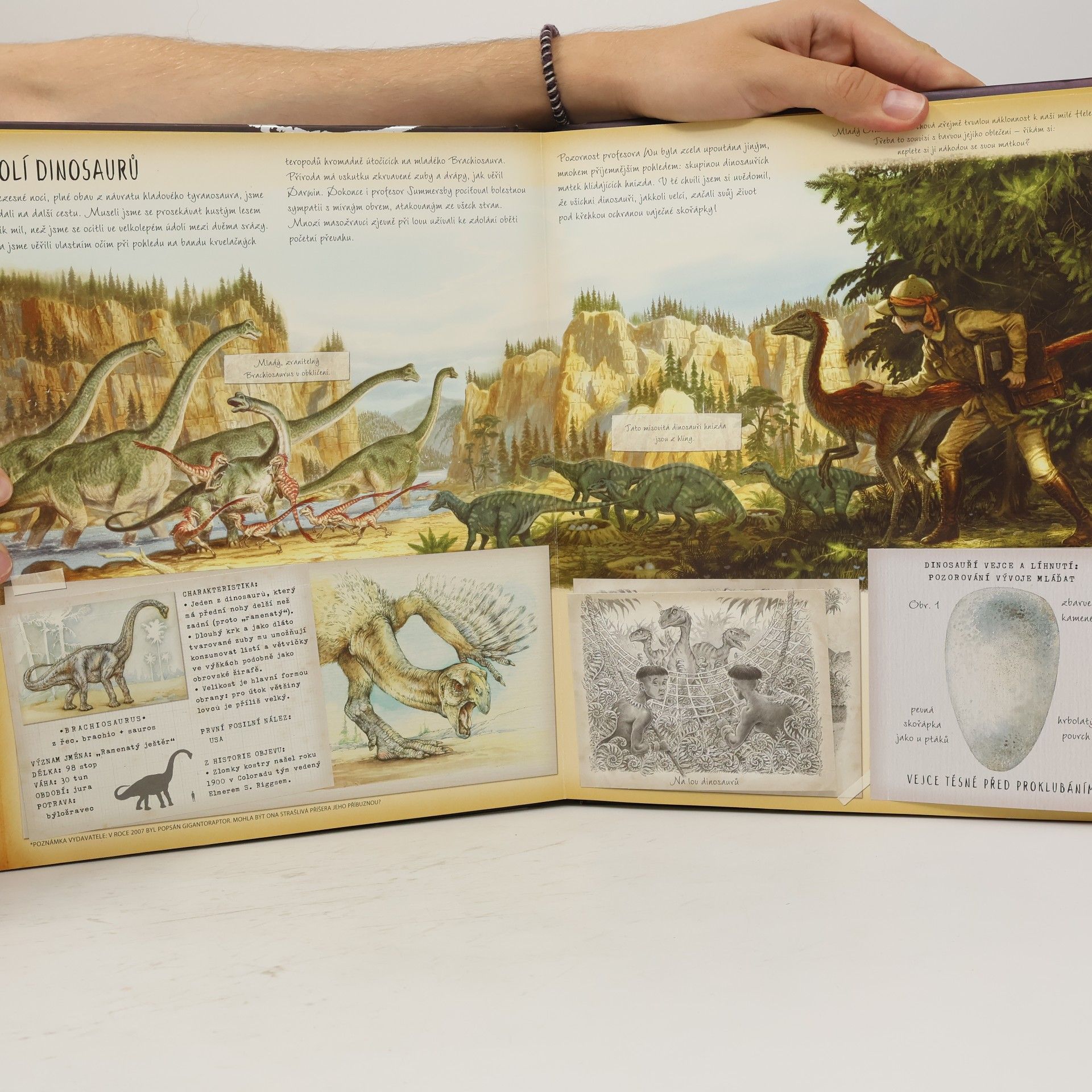 Autorenkollektiv Dinosaurologie. Hledání ztraceného světa