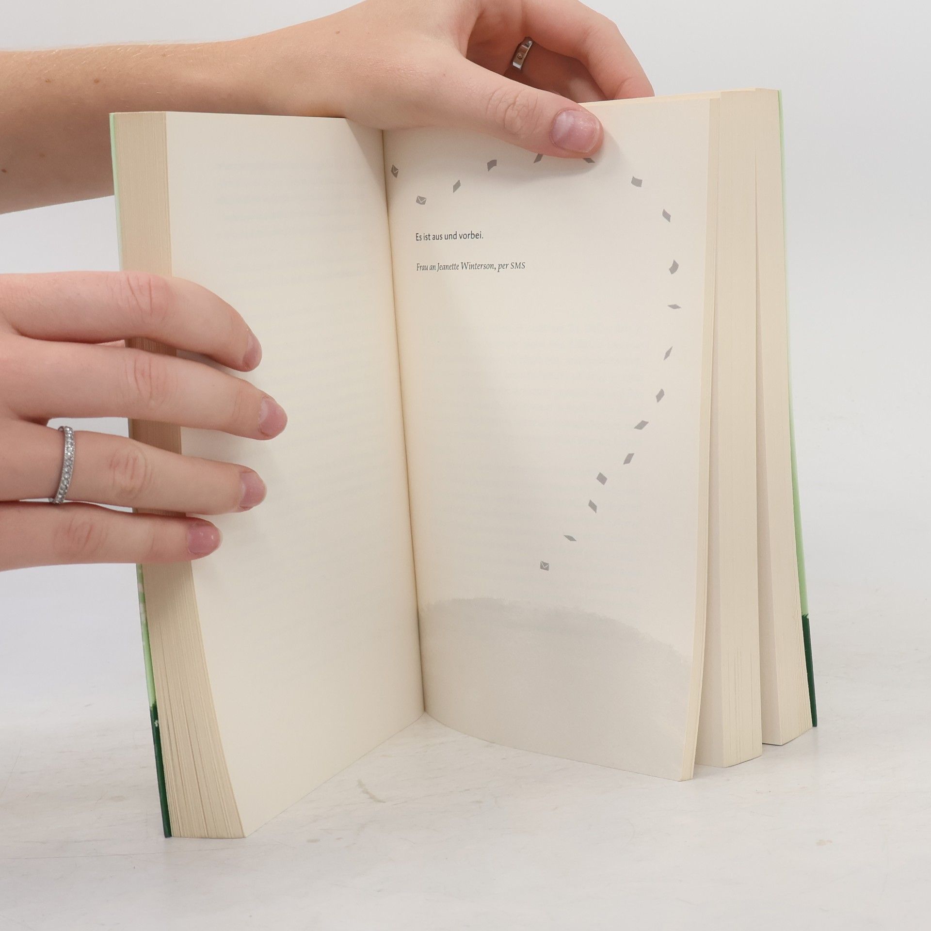 Jojo Moyes Eine Handvoll Worte