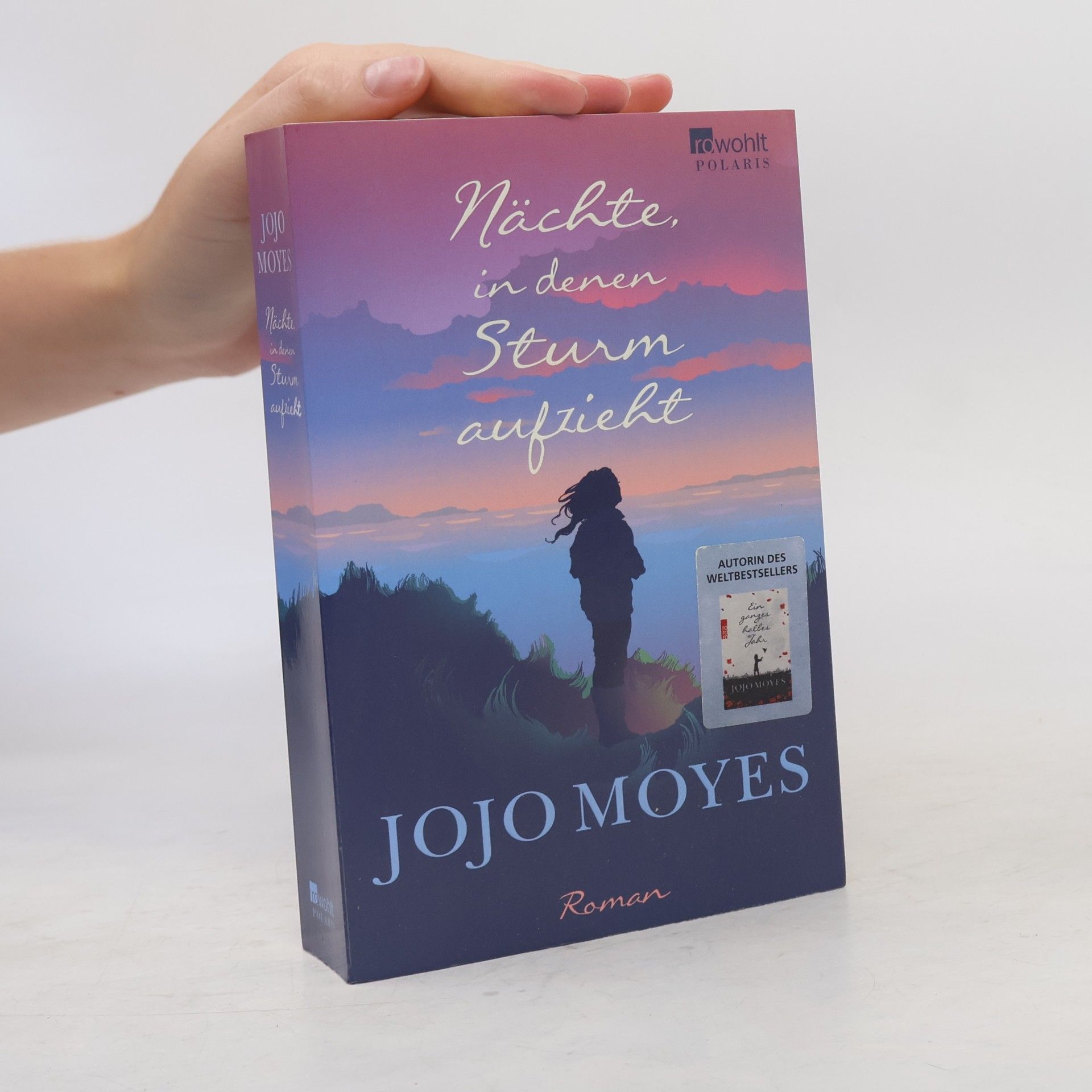 Jojo Moyes Nächte in denen Sturm aufzieht