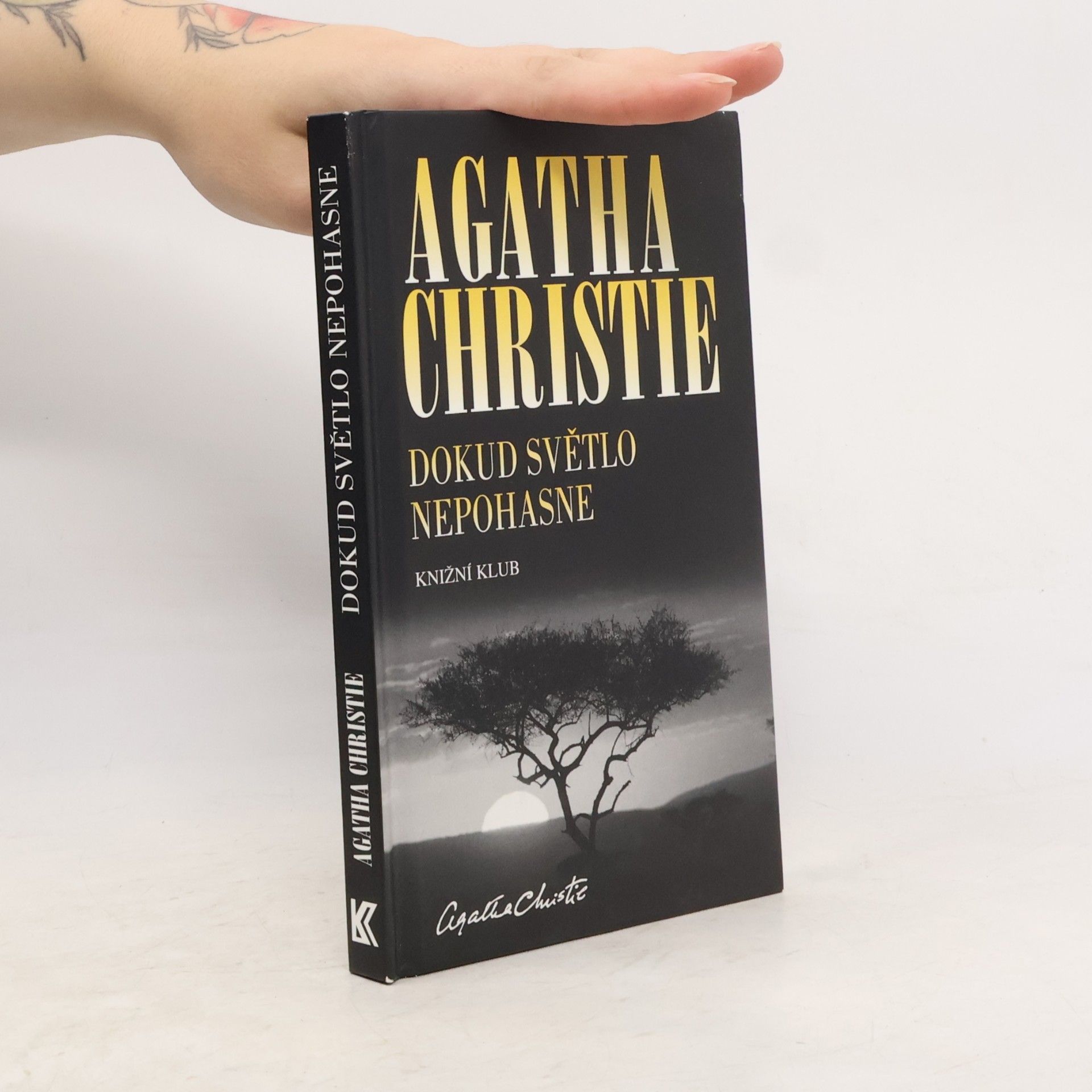 Agatha Christie Dokud světlo nepohasne