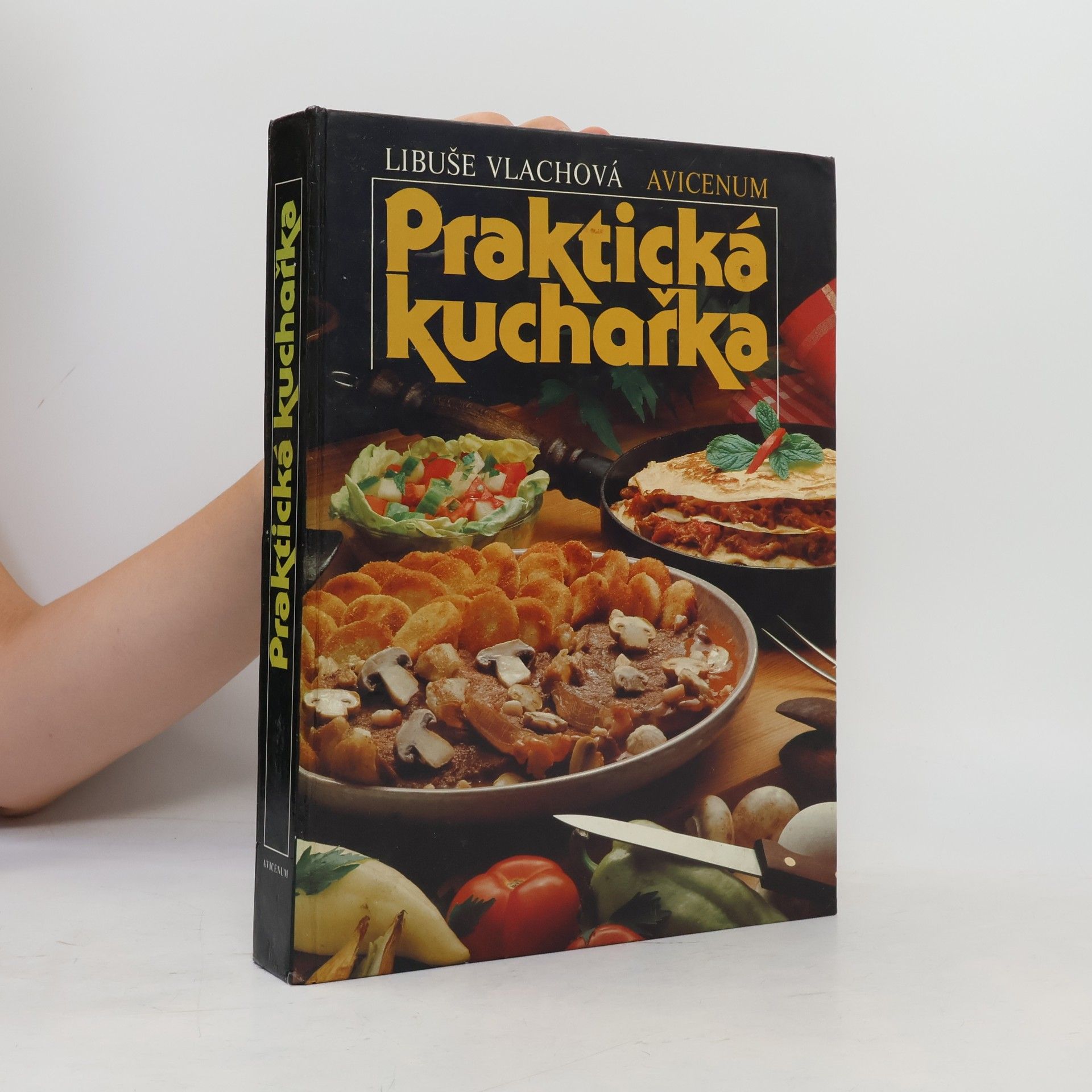Libuše Vlachová Praktická kuchařka