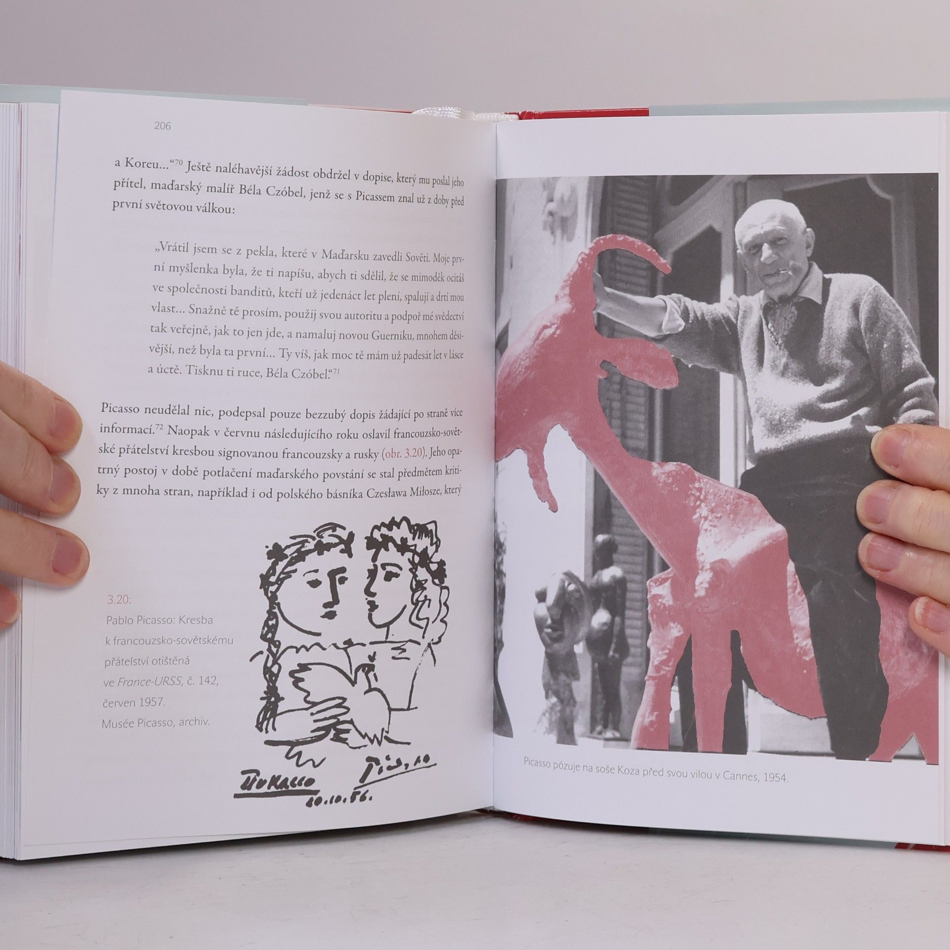 František Mikš Rudý kohout Picasso : ideologie a utopie v umění 20. století: od Malevičova černého čtverce k Picassově holubici míru