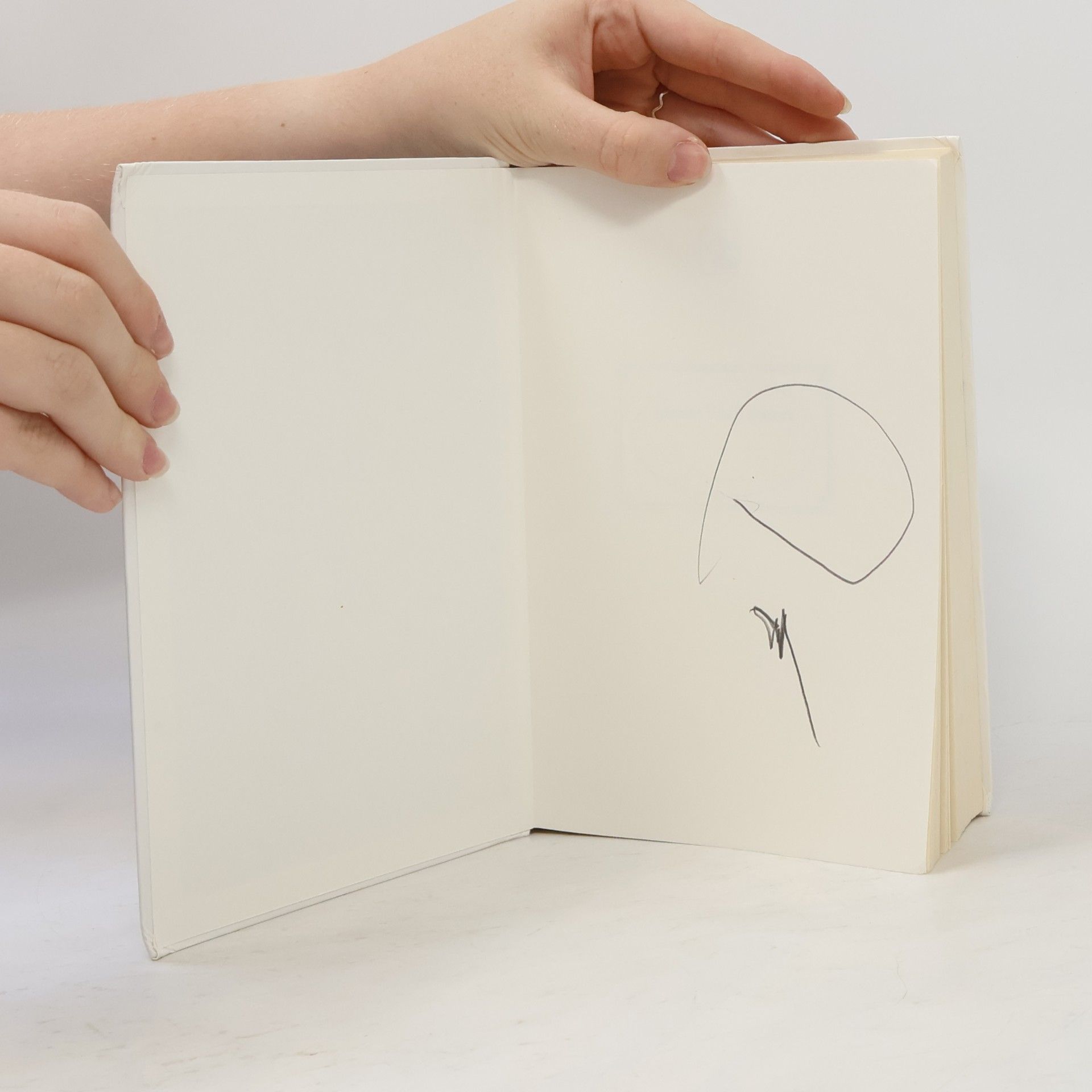 Autorenkollektiv Das kunterbunte Bärenbuch