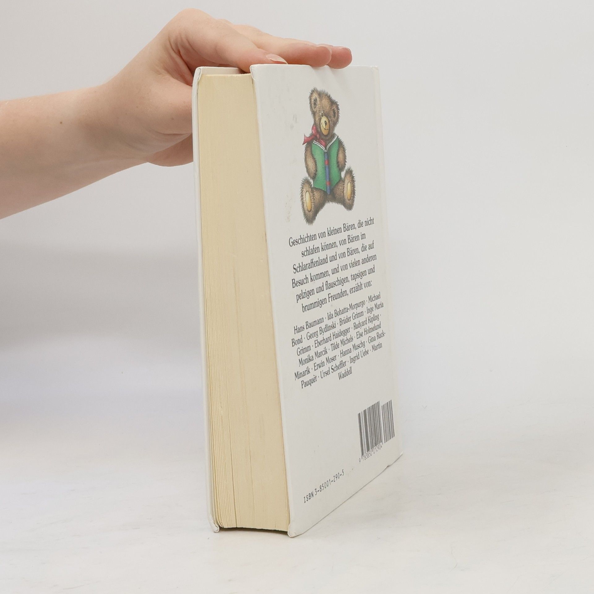 Autorenkollektiv Das kunterbunte Bärenbuch