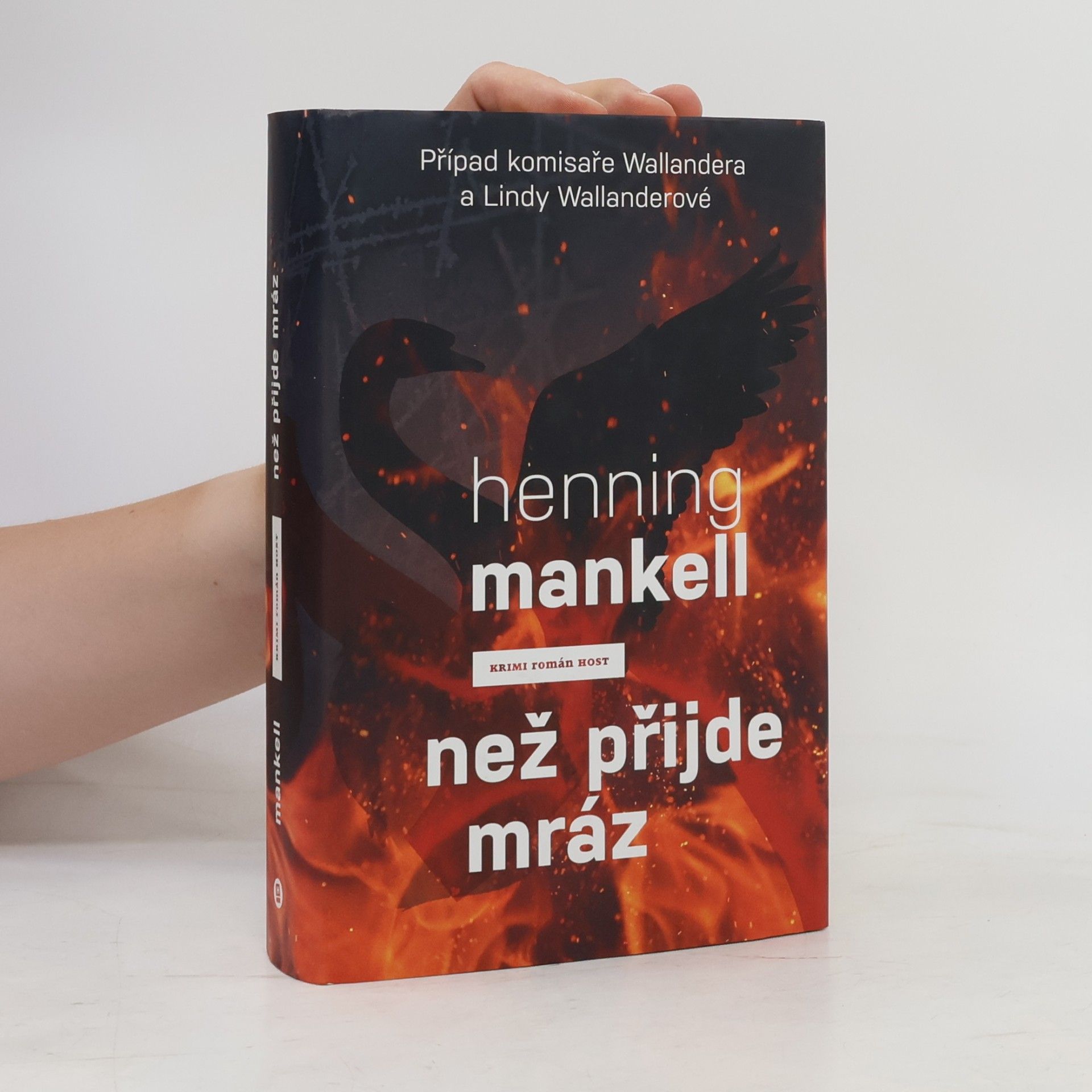 Henning Mankell Než přijde mráz