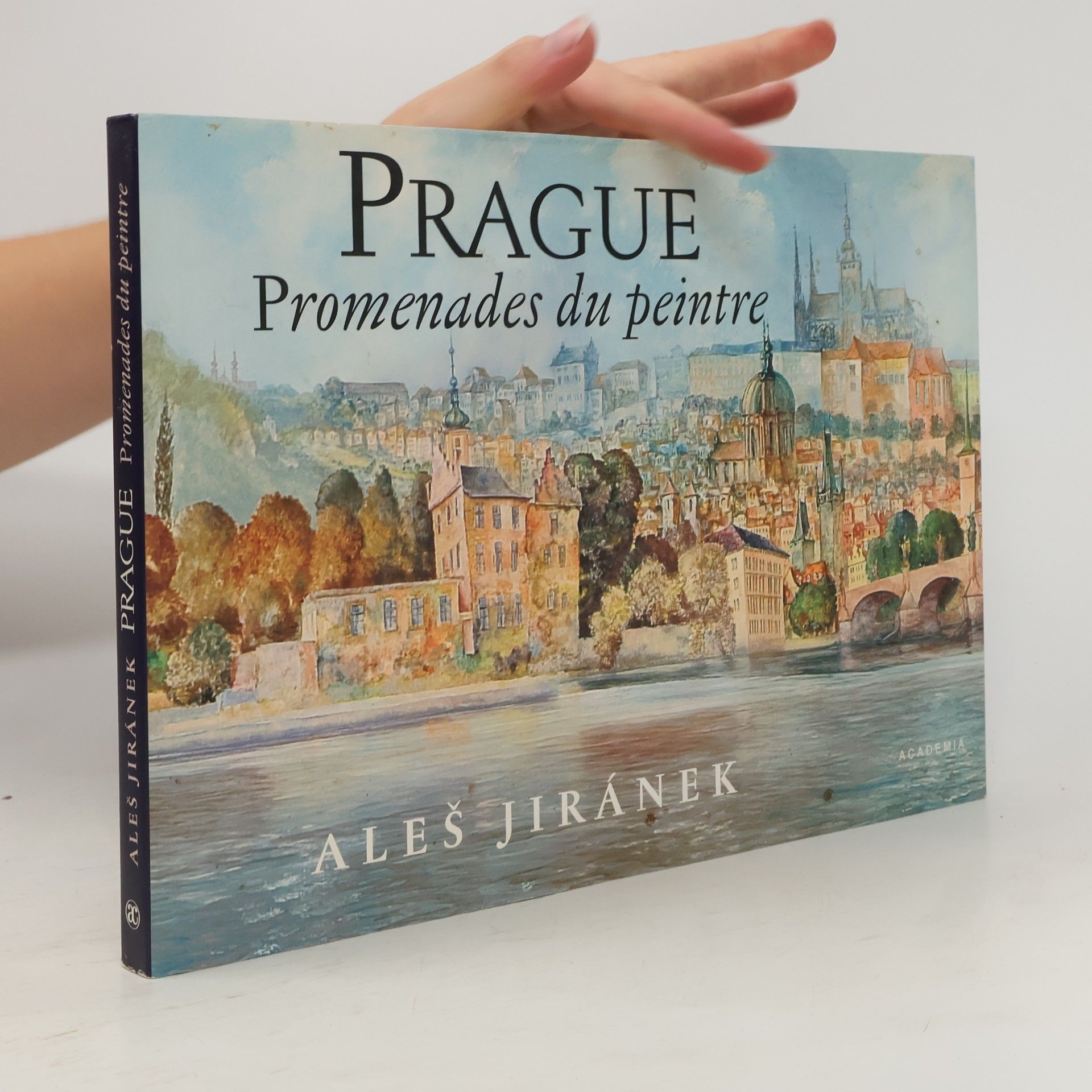 Aleš Jiránek Prague: promenades du peintre