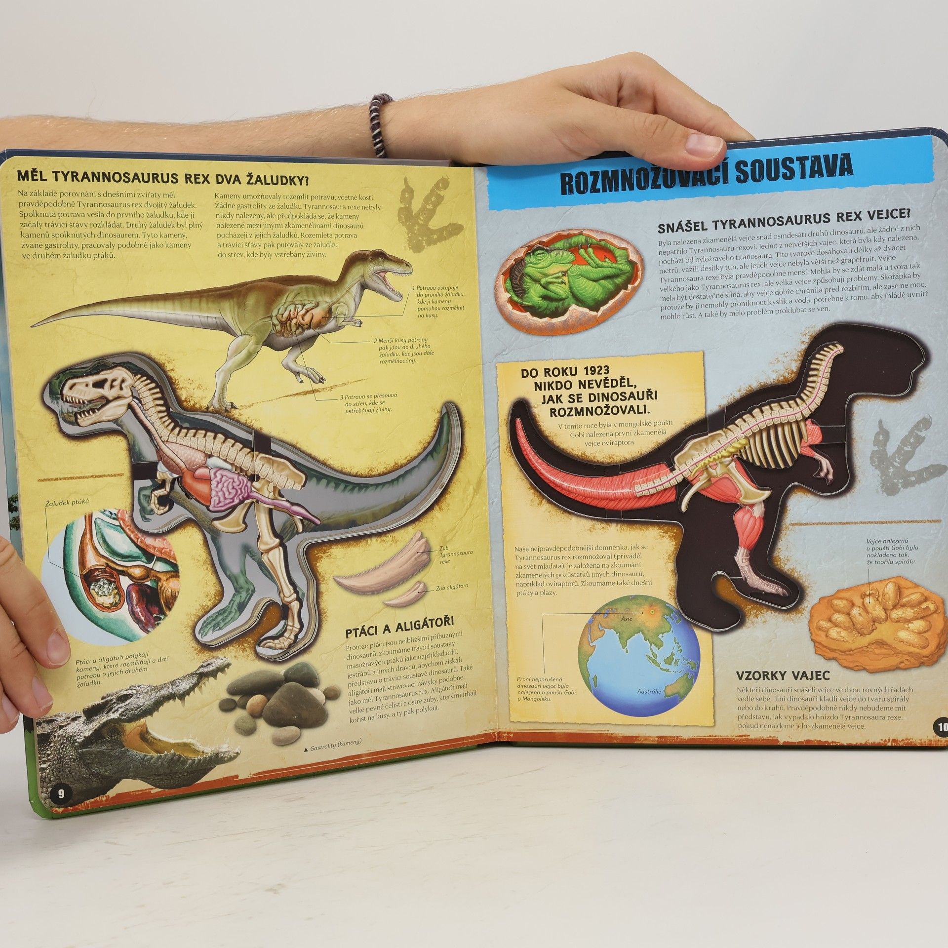 Dennis Schatz T-Rex zevnitř: Poznej nejslavnějšího dinosaura na světě!