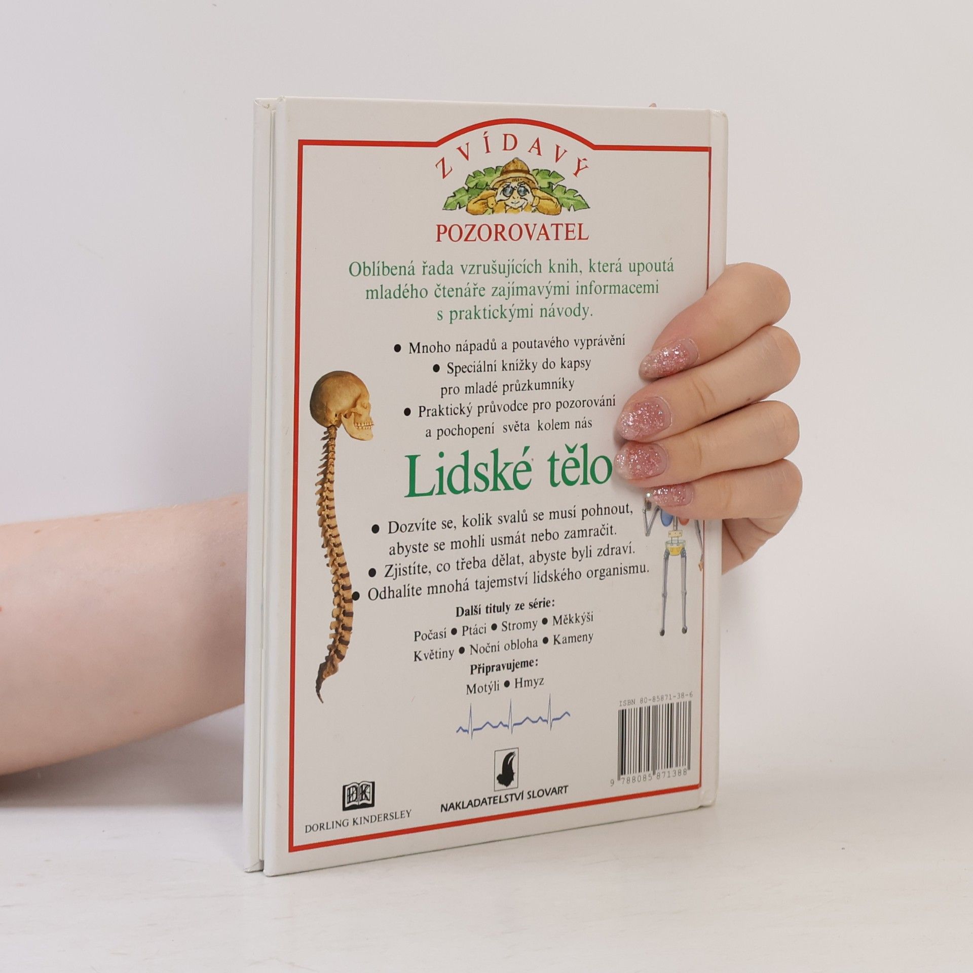Steve Parker Zvídavý pozorovatel: Lidské tělo