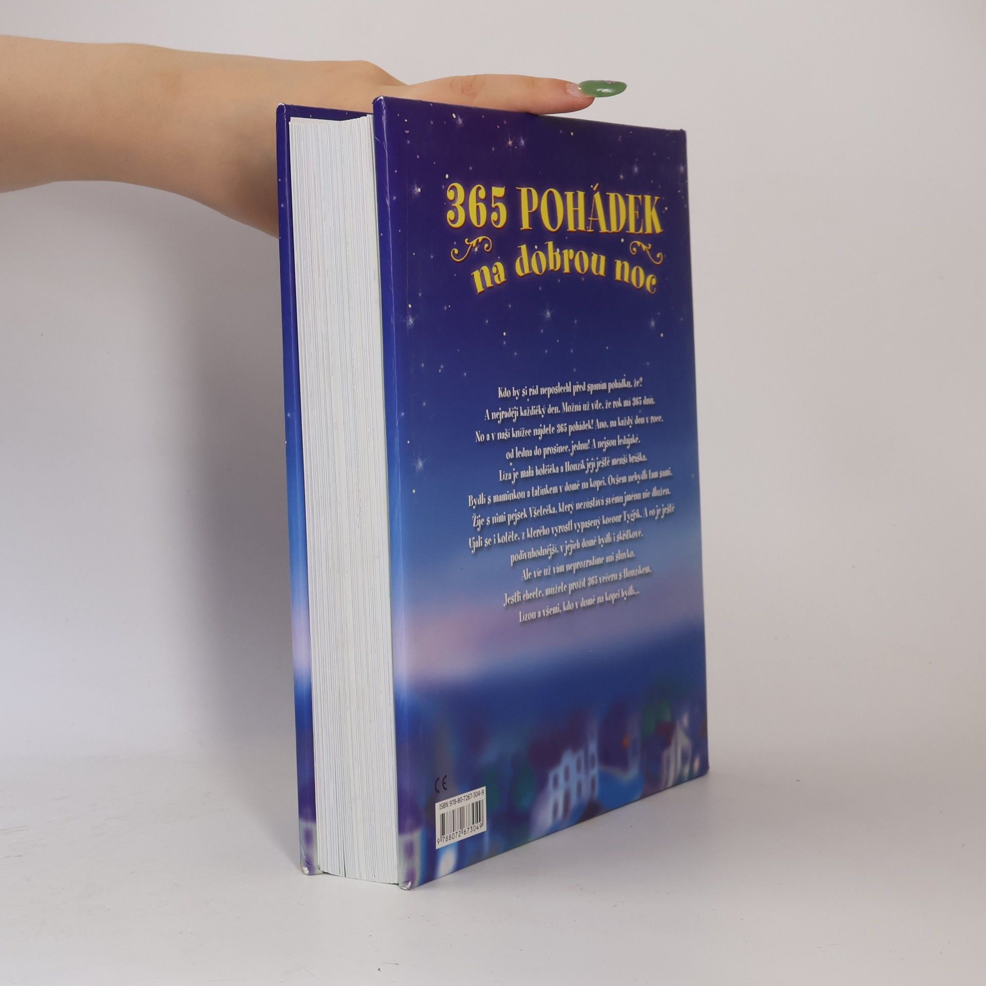 Autorenkollektiv 365 pohádek na dobrou noc
