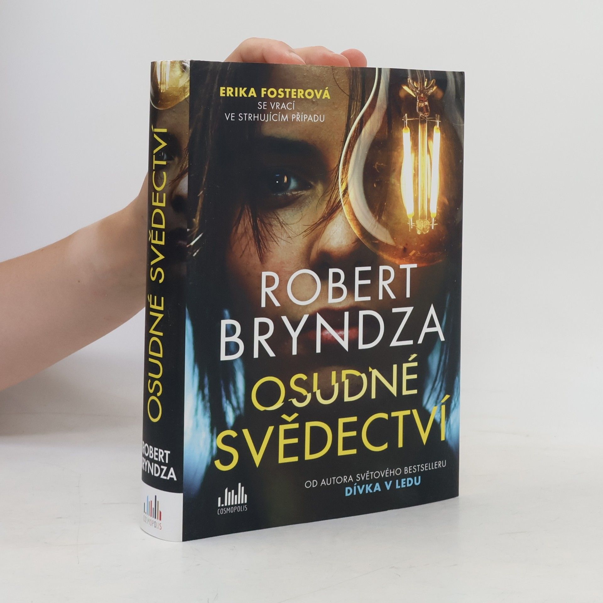 Robert Bryndza Osudné svědectví