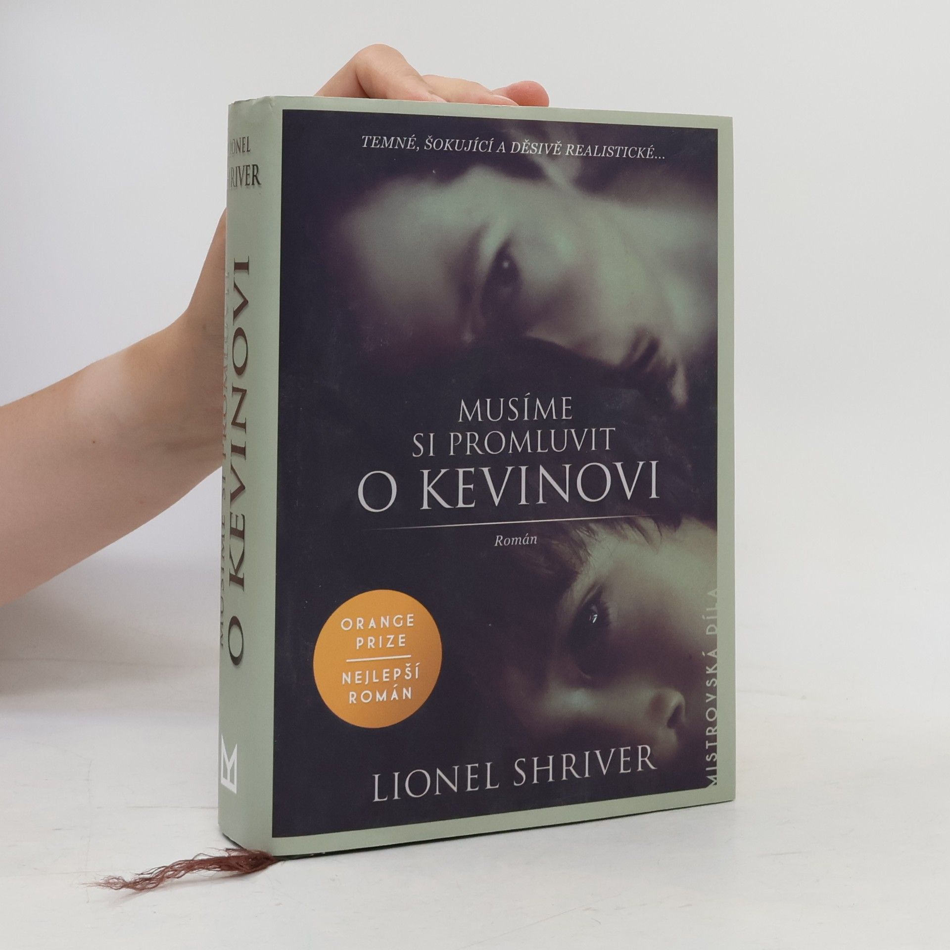 Lionel Shriver Musíme si promluvit o Kevinovi