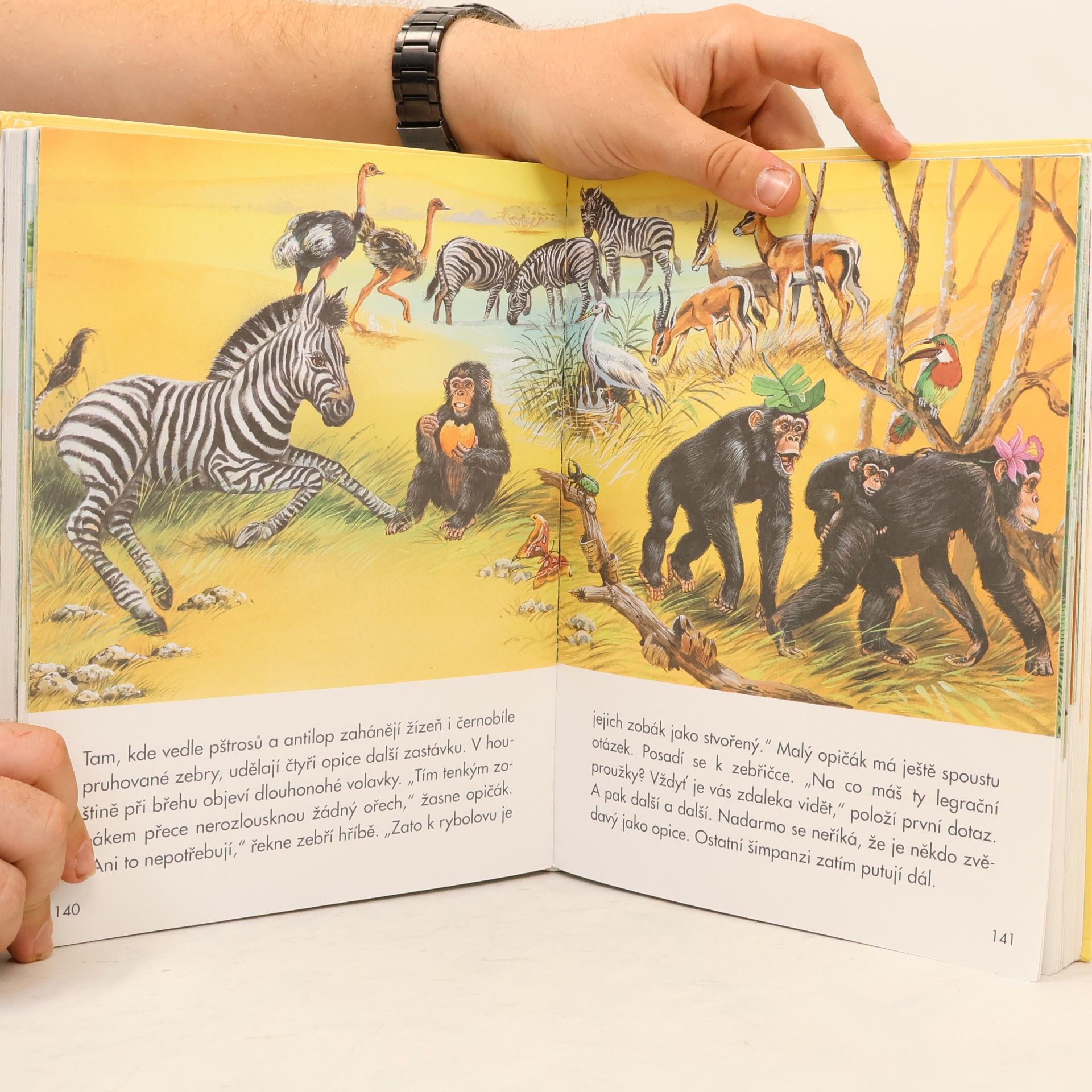Collectif d'auteurs Zvířátka a jejich dobrodružství
