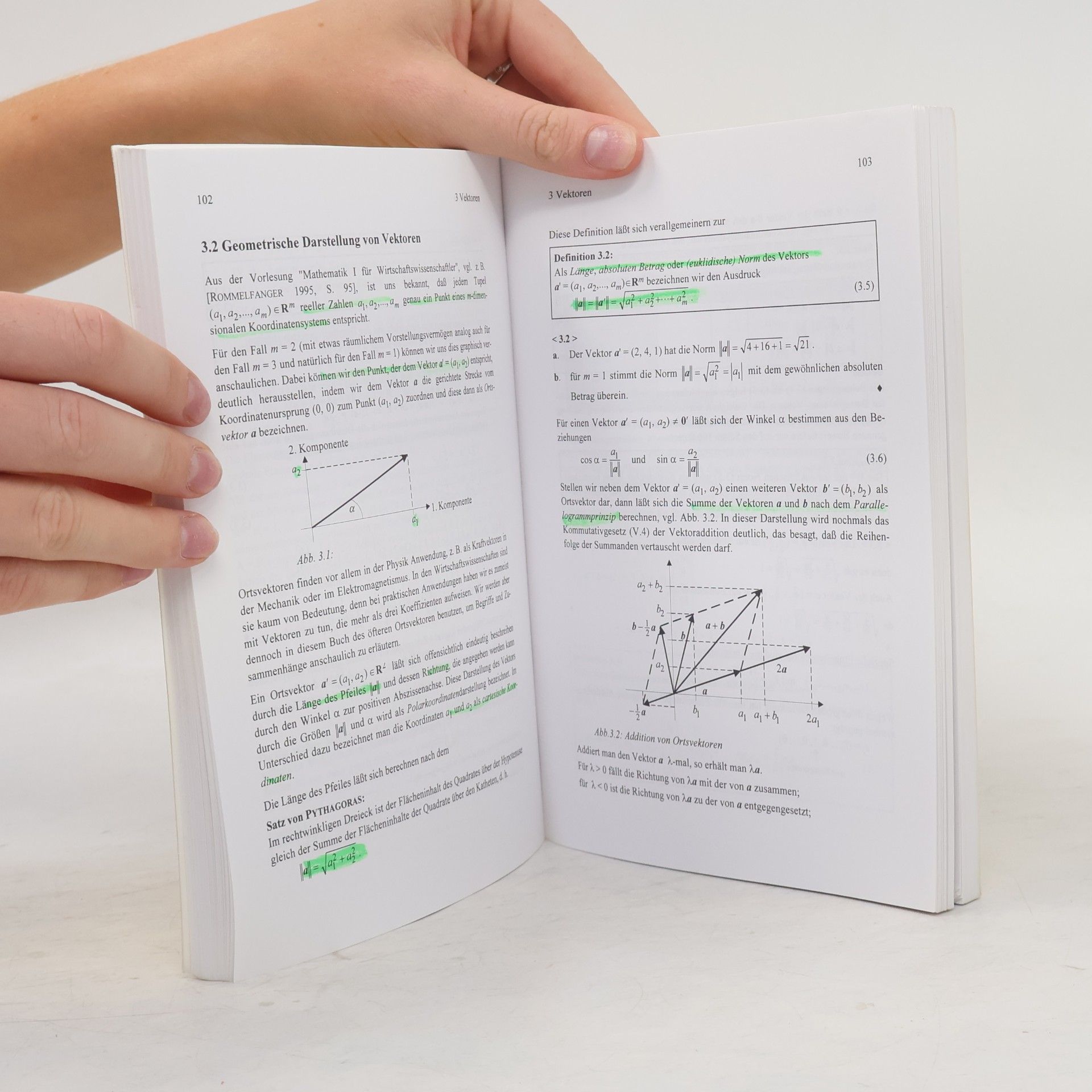 Heinrich Rommelfanger Mathematik für Wirtschaftswissenschaftler II - 5. Auflage