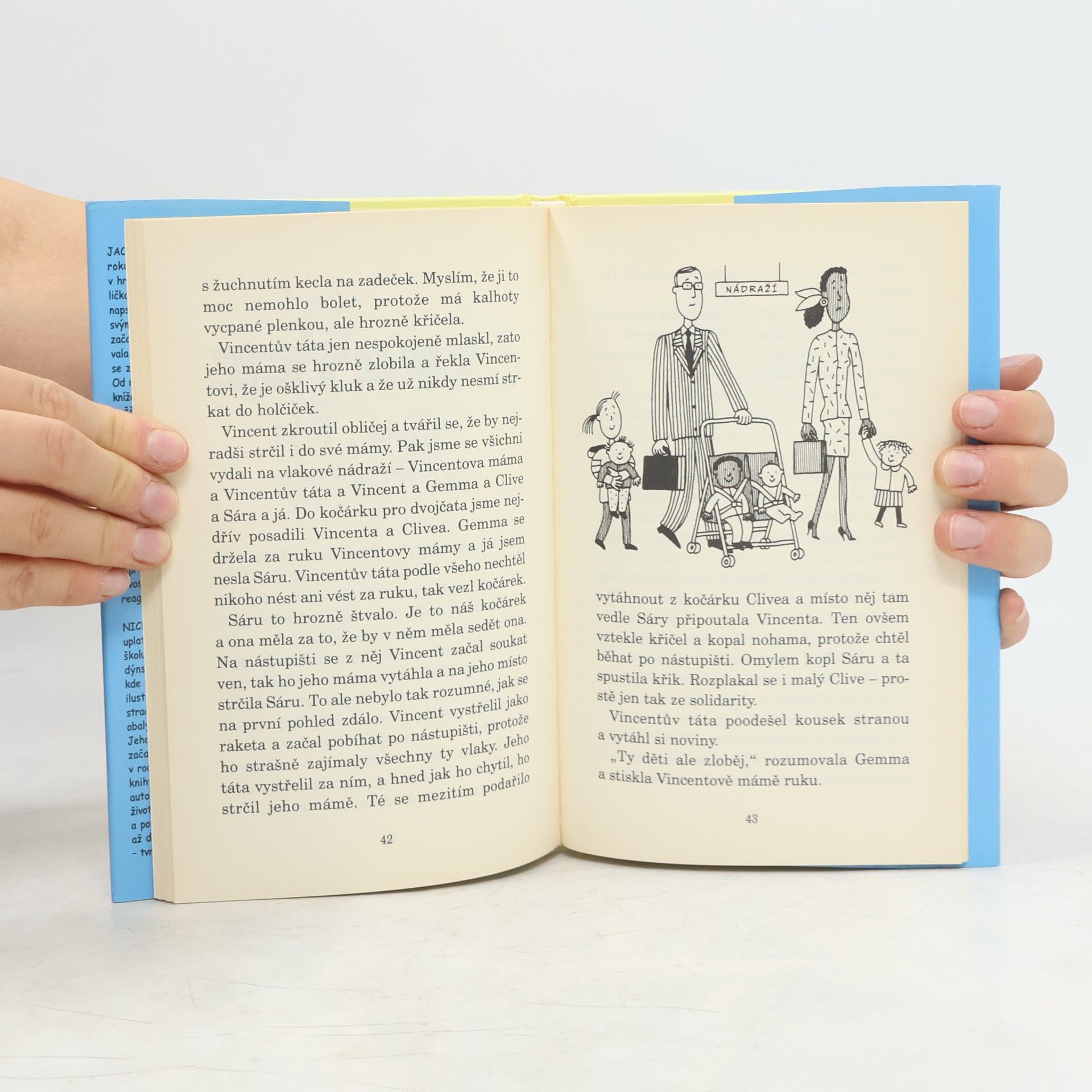 Jacqueline Wilson Holka na hlídání