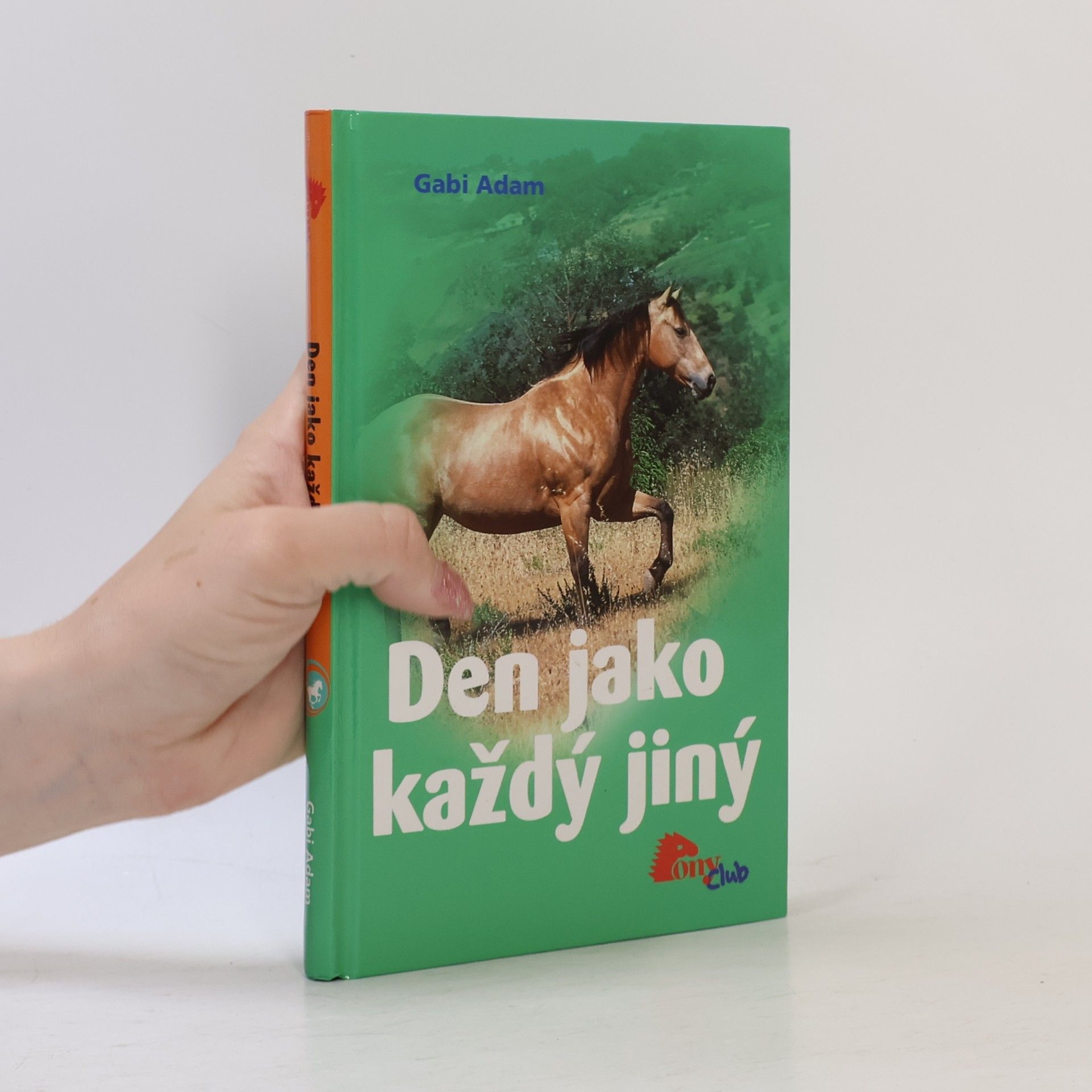 Gabi Adam Den jako každý jiný