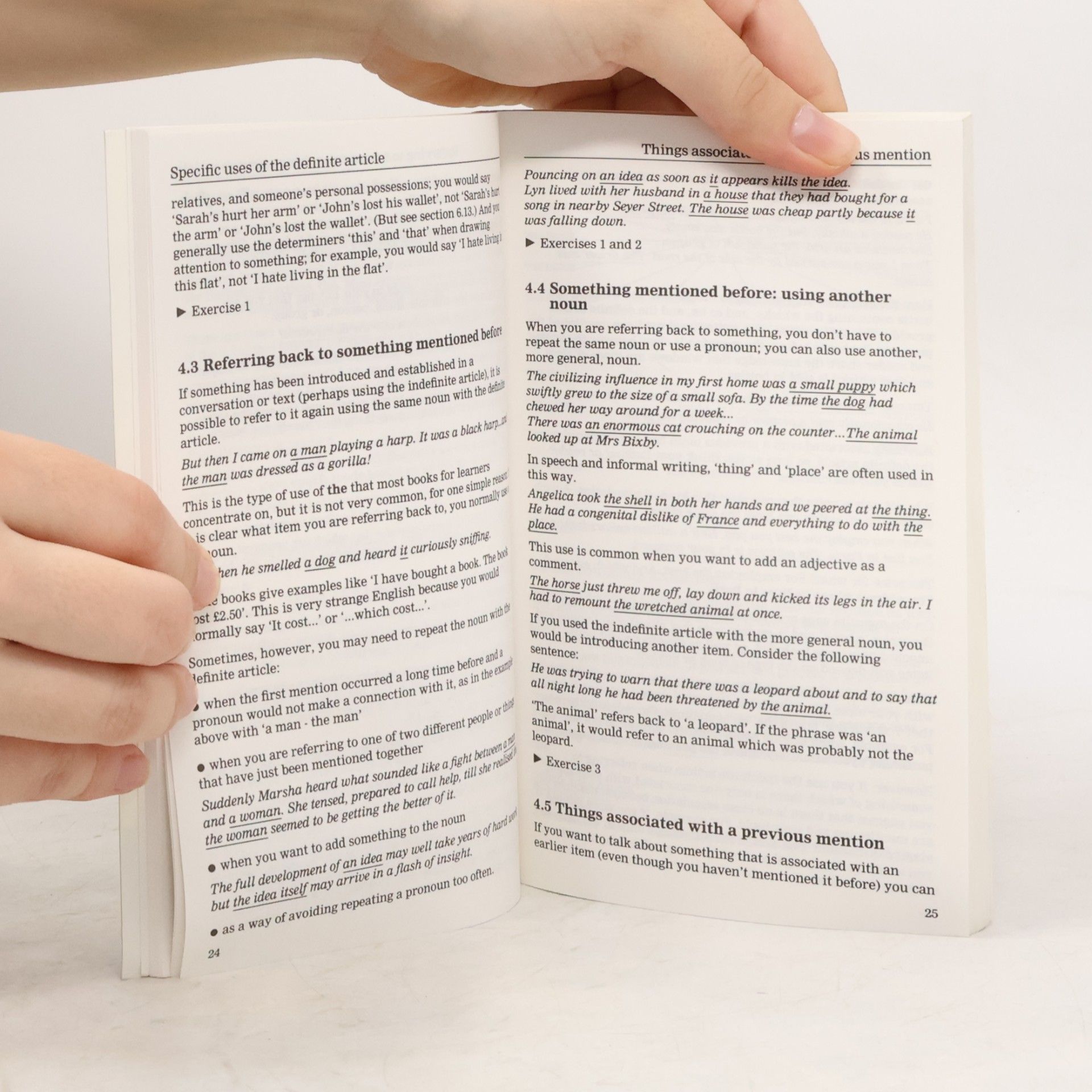 Roger Berry English Guides III. Articles