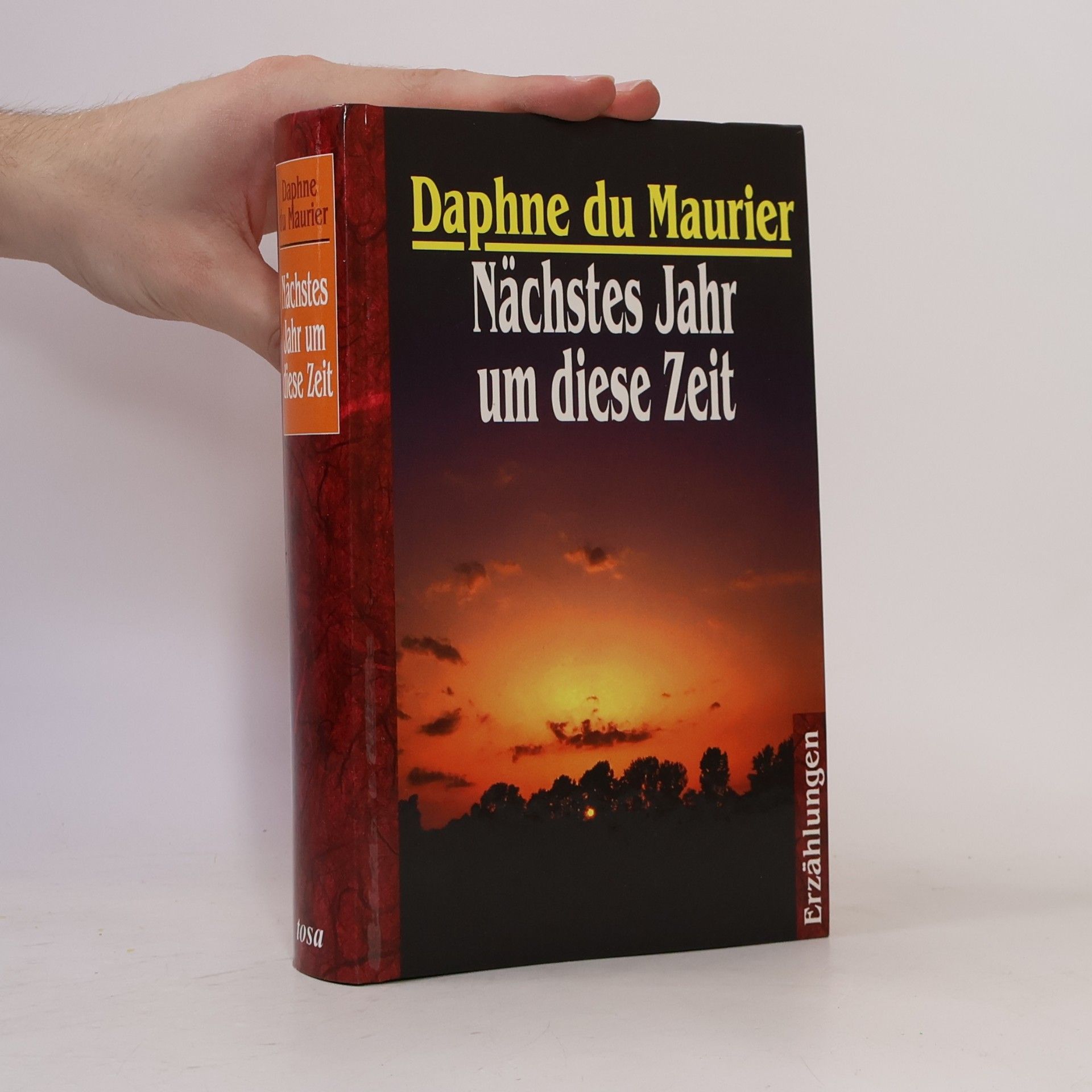 Daphne du Maurier Nächtes Jahr um diese Zeit