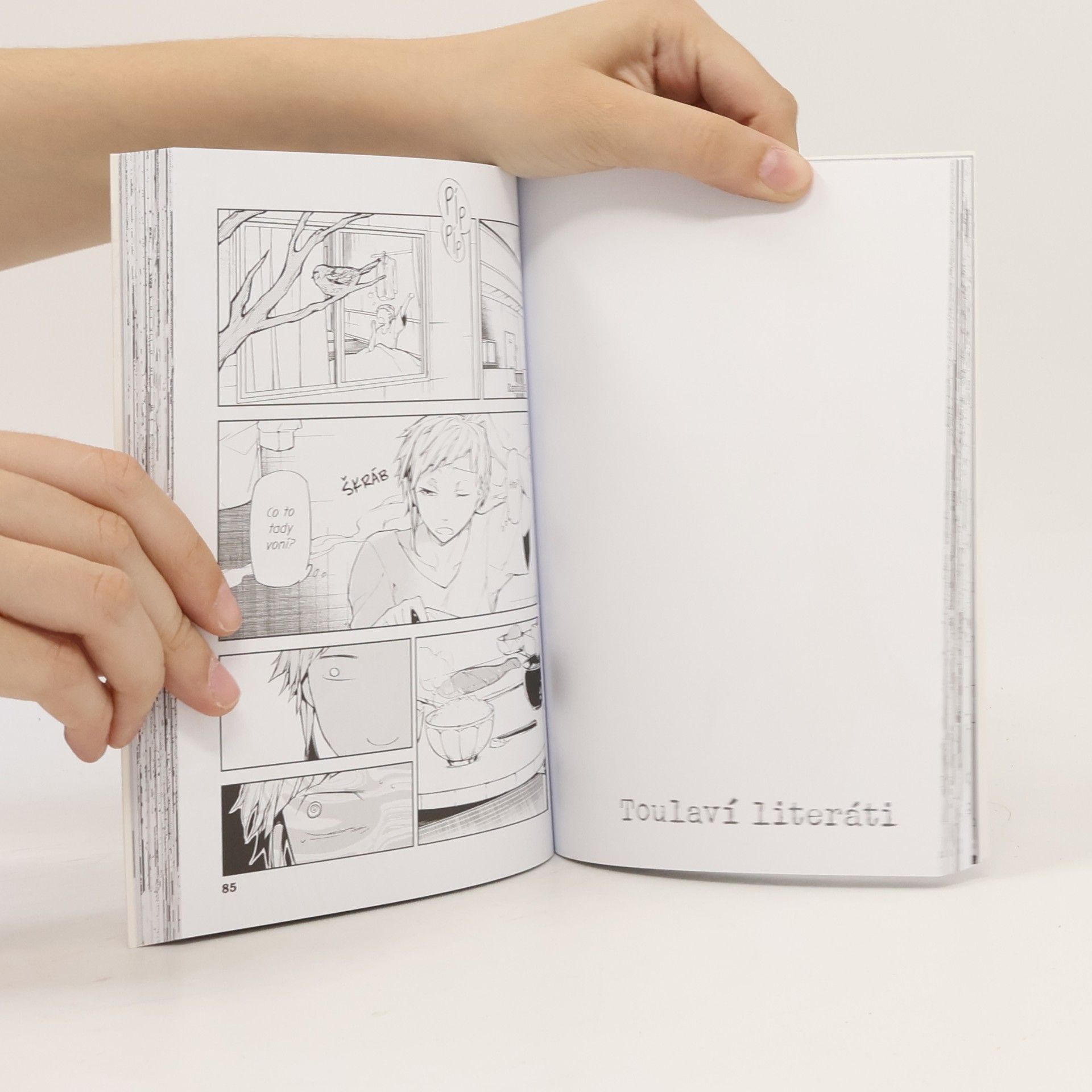Autorenkollektiv Toulaví literáti. Bungó stray dogs. 04