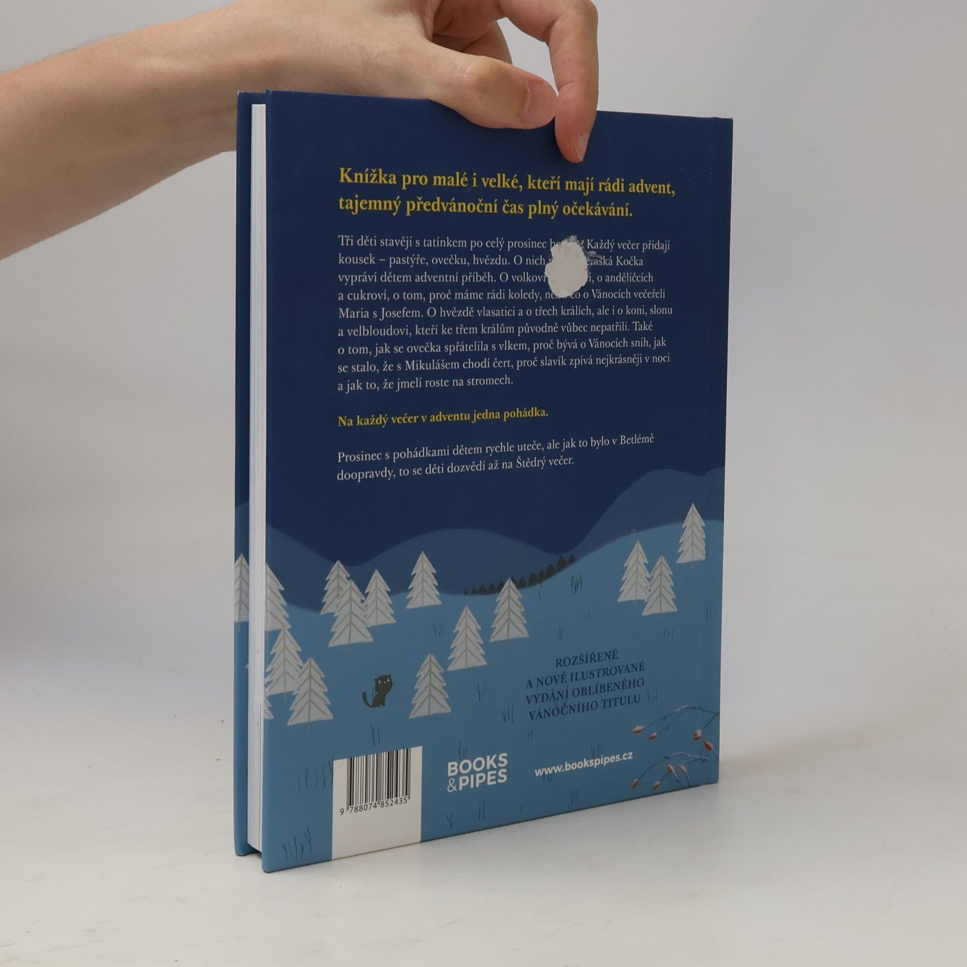 Terezie Radoměřská Vánoce pro kočku