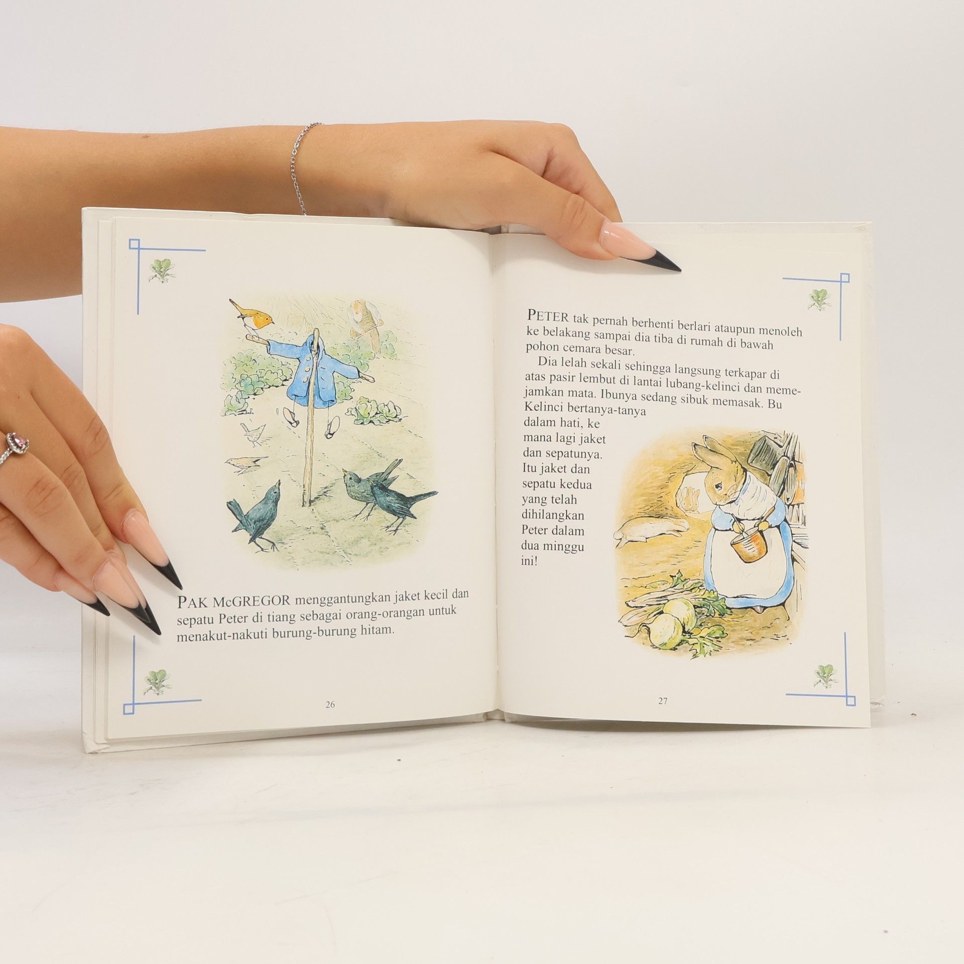 Beatrix Potter The Tale of Peter Rabbit
