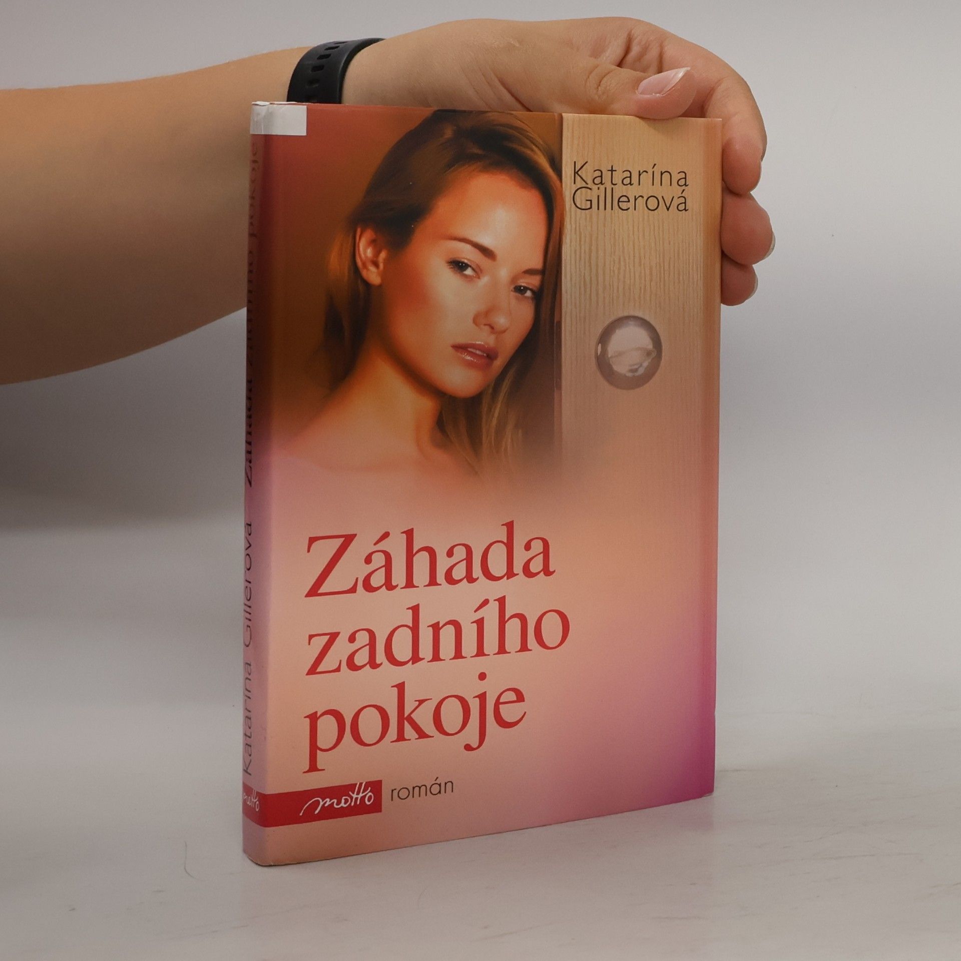 Katarína Gillerová Záhada zadního pokoje
