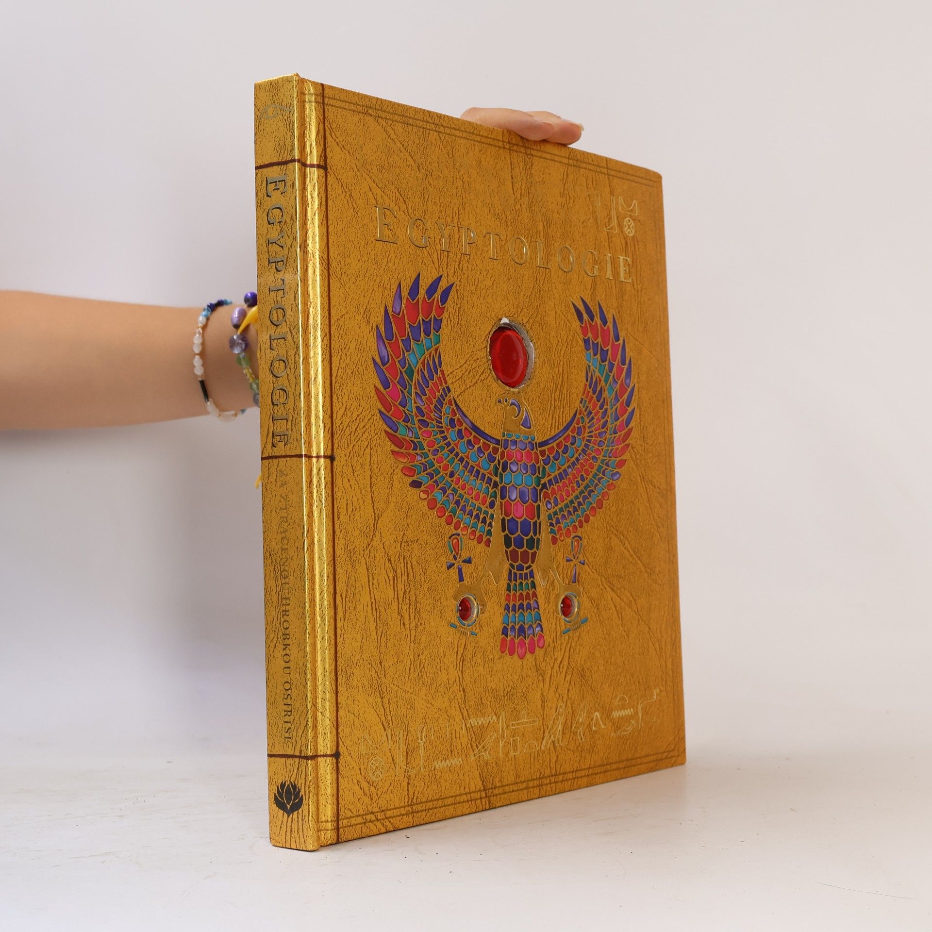 Emily Sands Egyptologie: Za ztracenou hrobkou Osirise