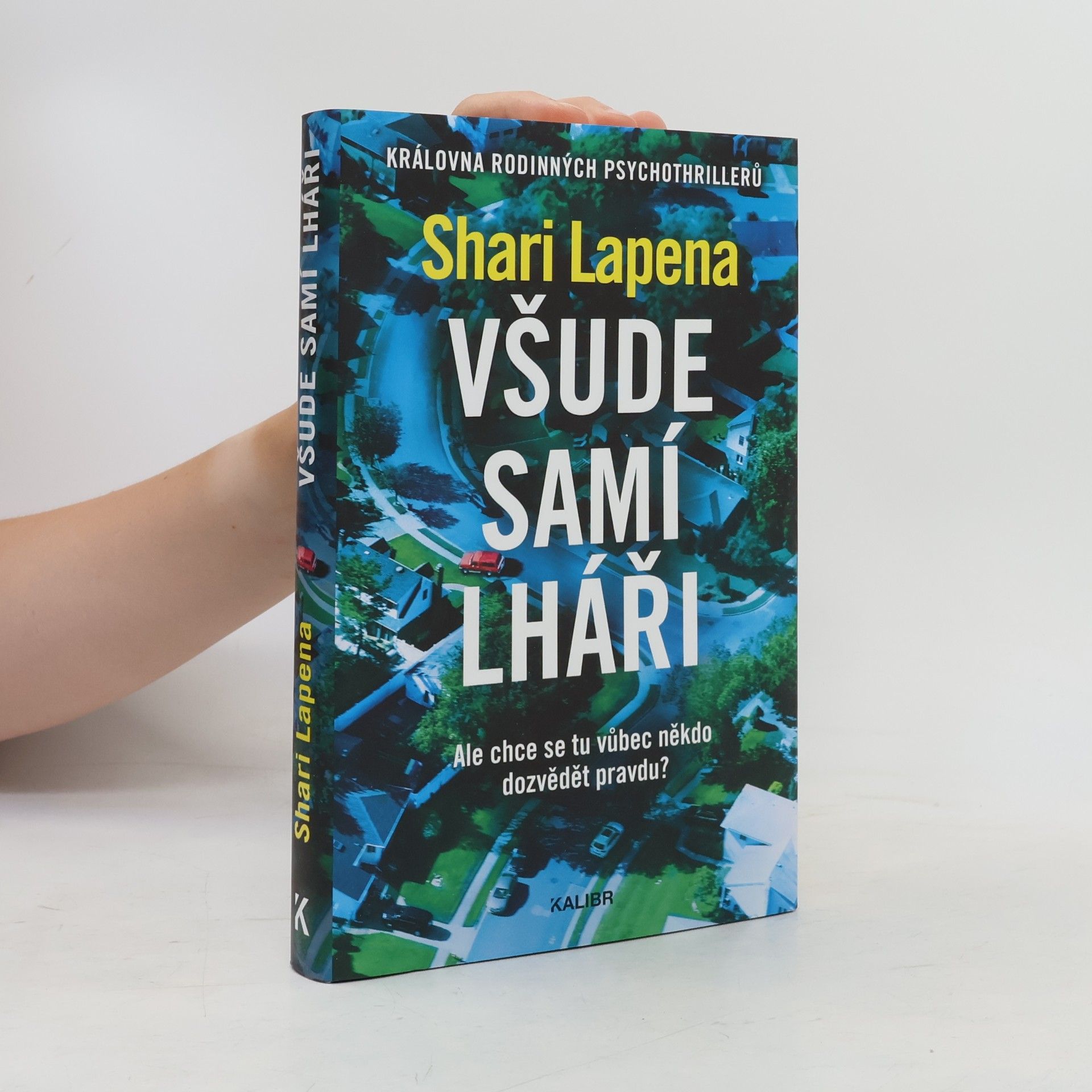 Shari Lapena Všude samí lháři