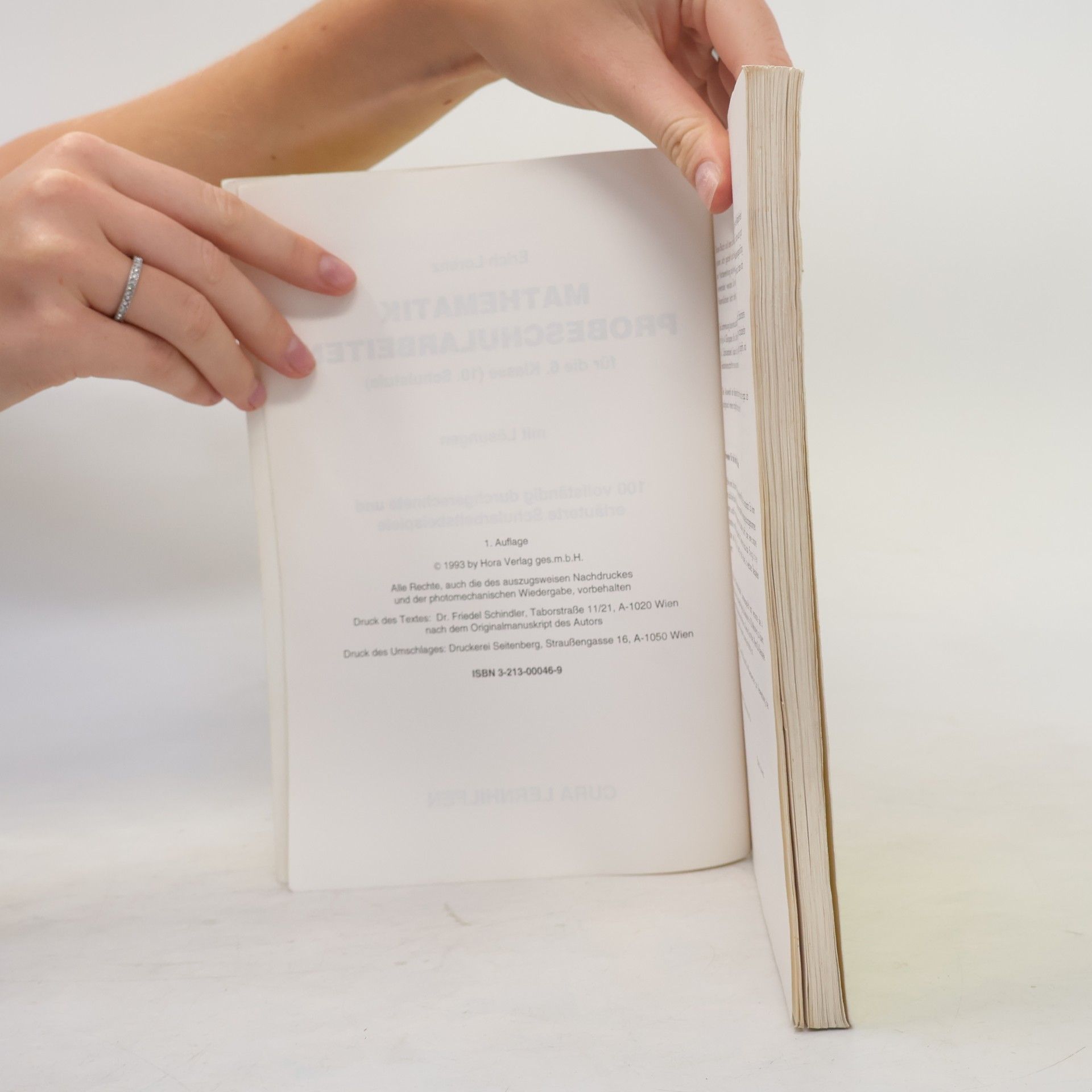 Erich Lorenz Mathematik Probeschularbeiten