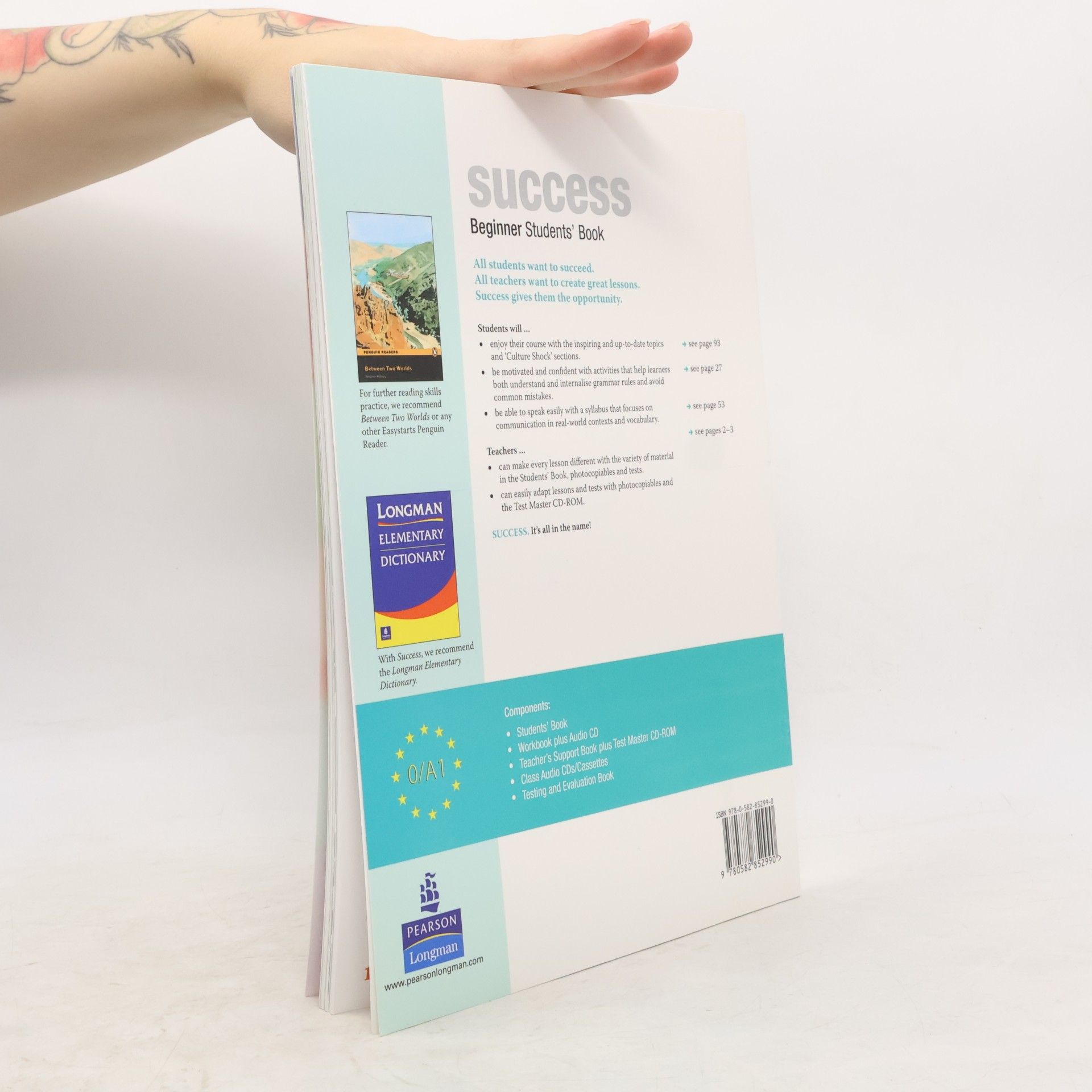 Stuart McKinlay Success : beginner student's book
