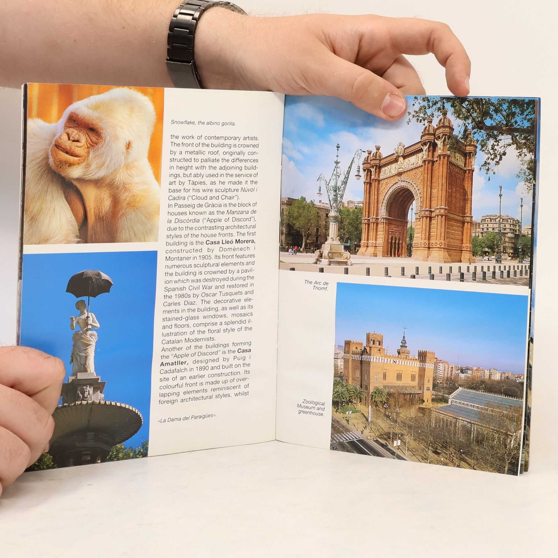 Kolektiv autorů Barcelona