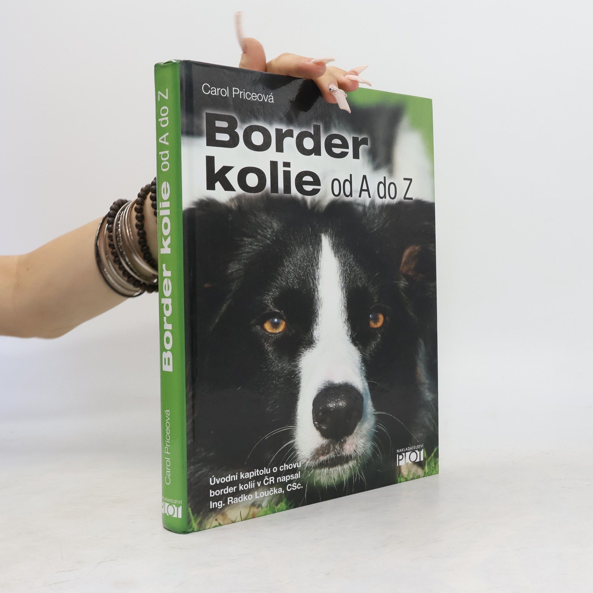 Carol Price Border kolie od A do Z