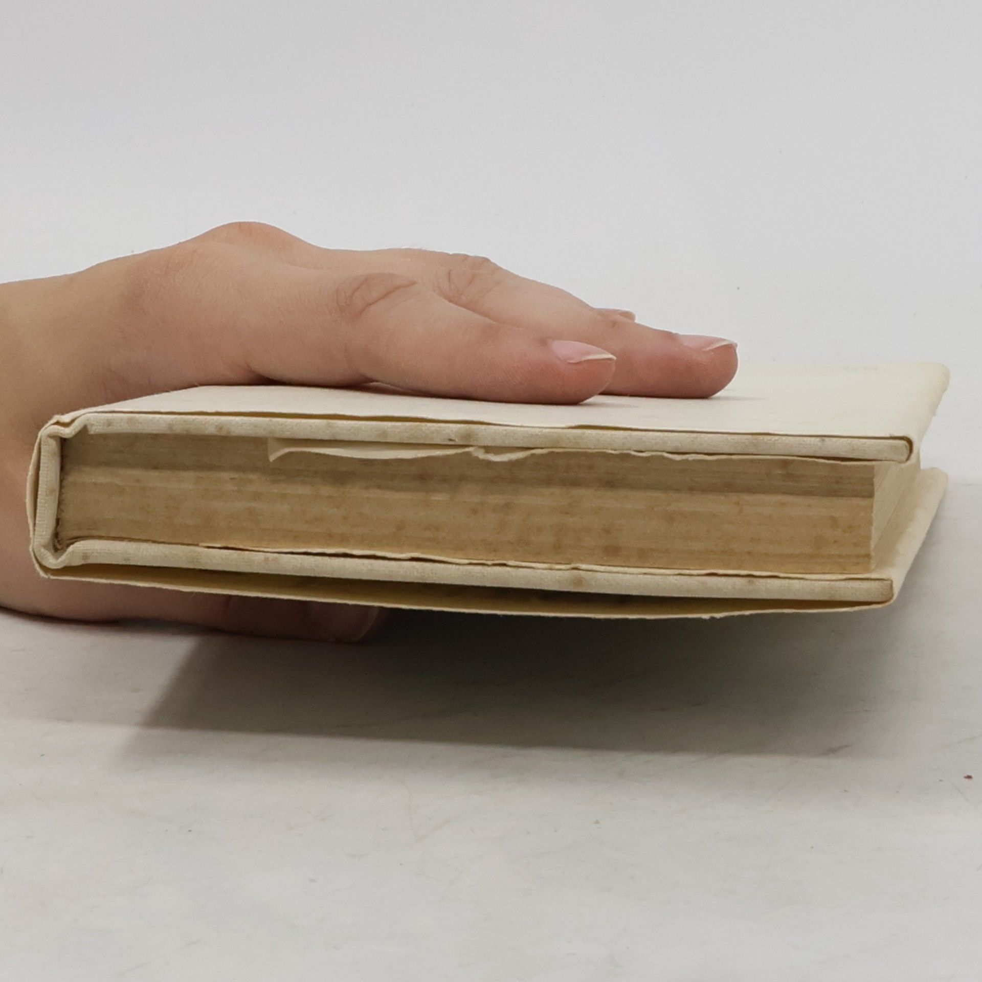 Karel Čapek Spisy Karla Čapka. Cestopisy I.