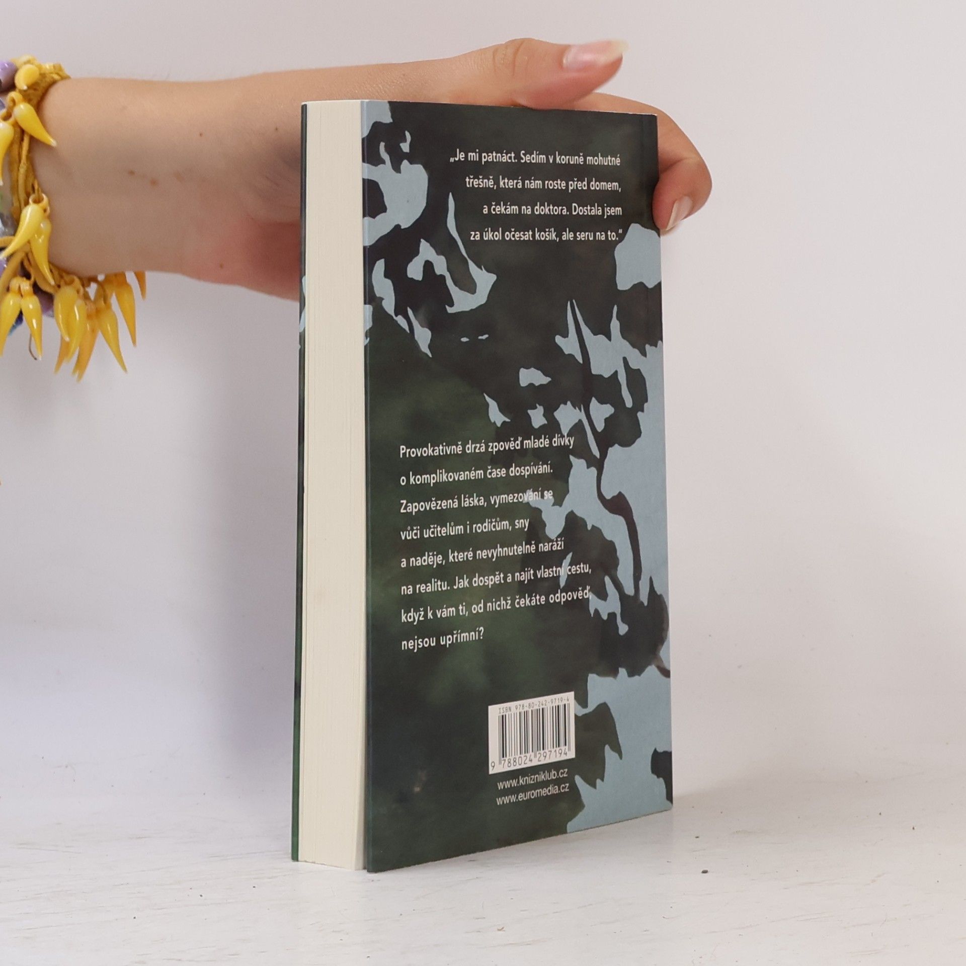 Dorota Ambrožová Poslední léto