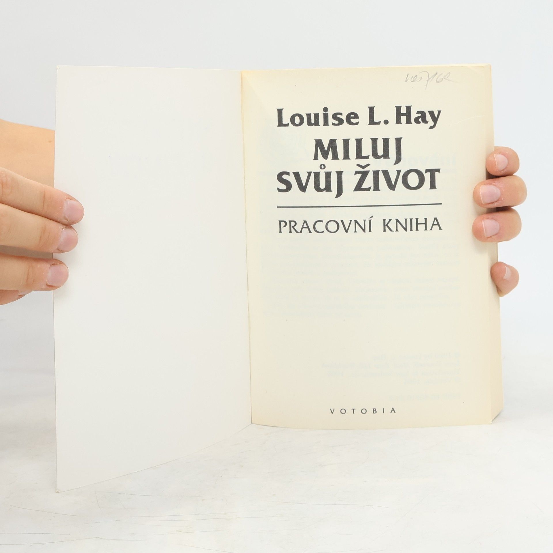 Louise Lynn Hay Miluj svůj život. Pracovní kniha