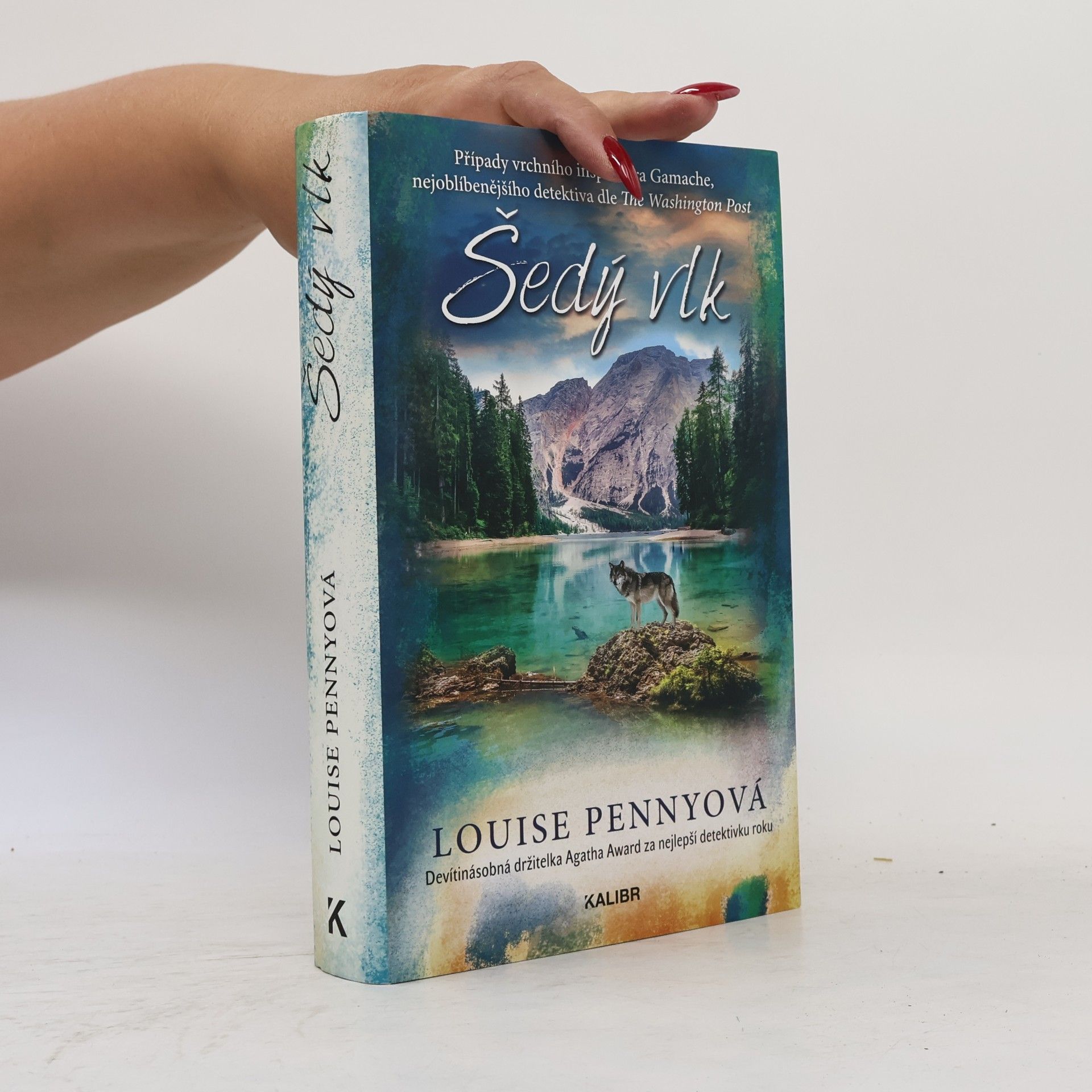 Louise Penny Šedý vlk