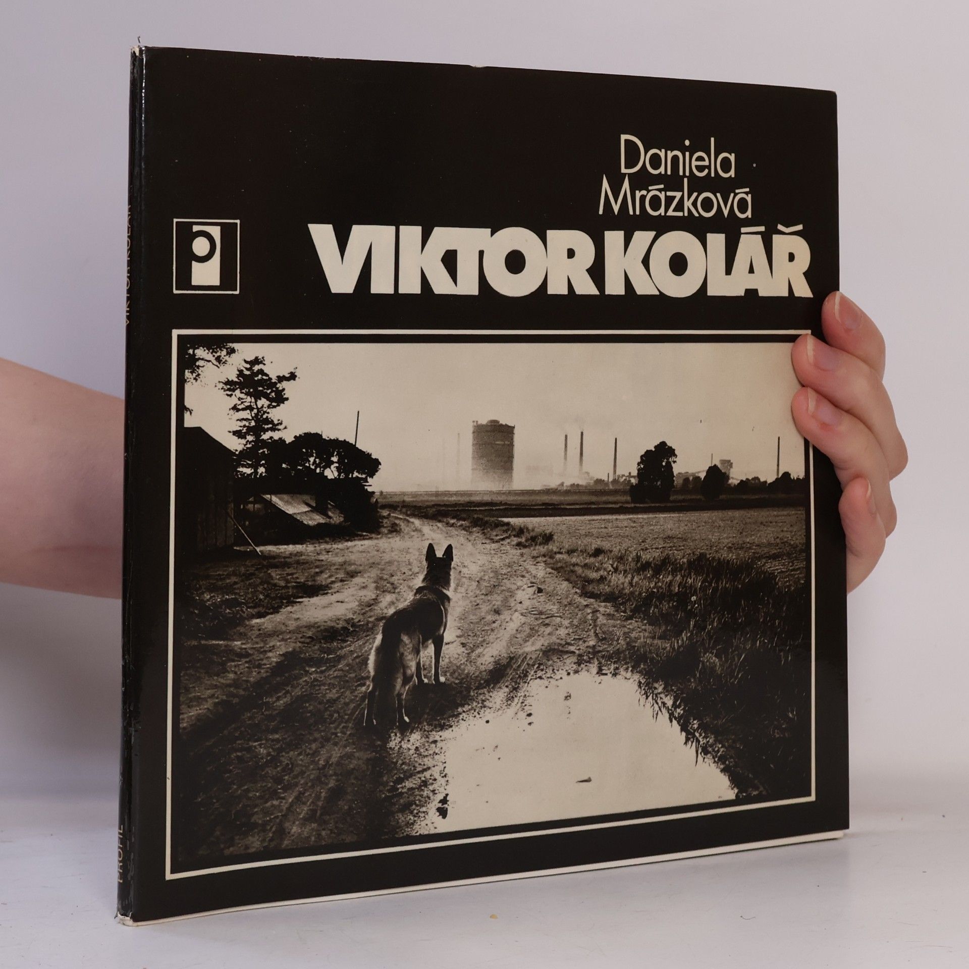 Daniela Mrázková Viktor Kolář