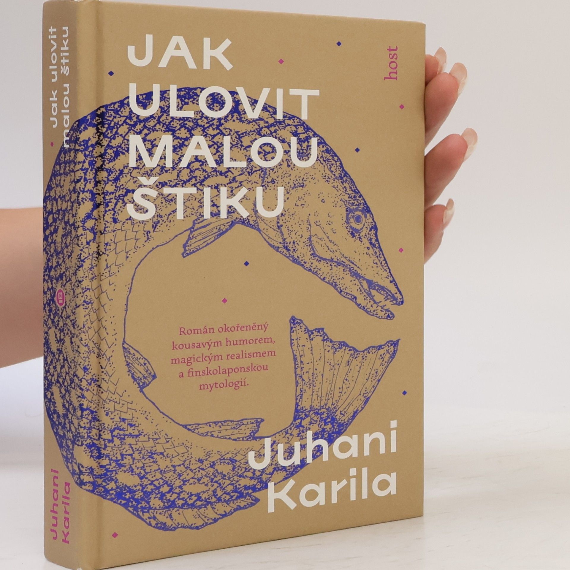Juhani Karila Jak ulovit malou štiku