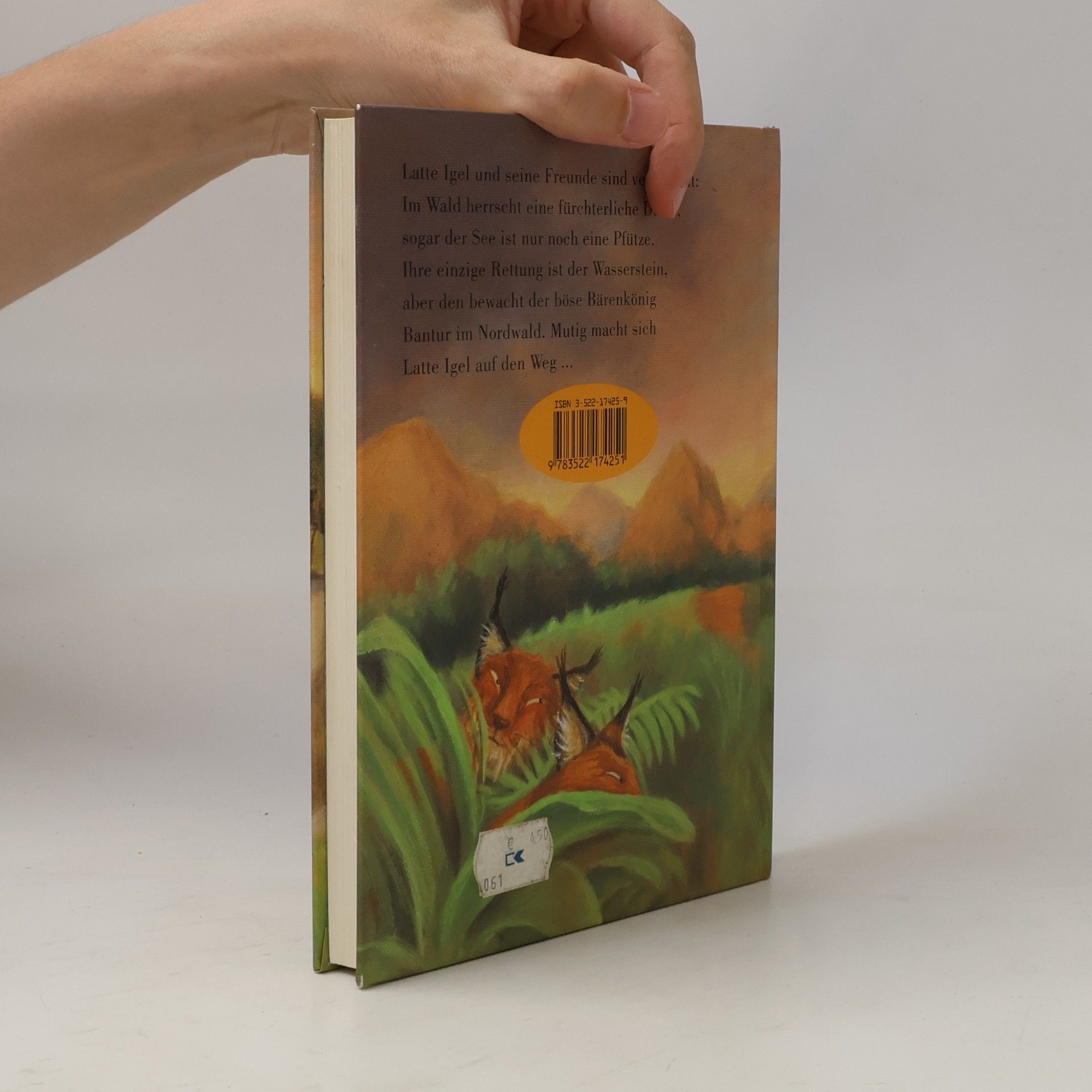Sebastian Lybeck Latte Igel und der Wasserstein