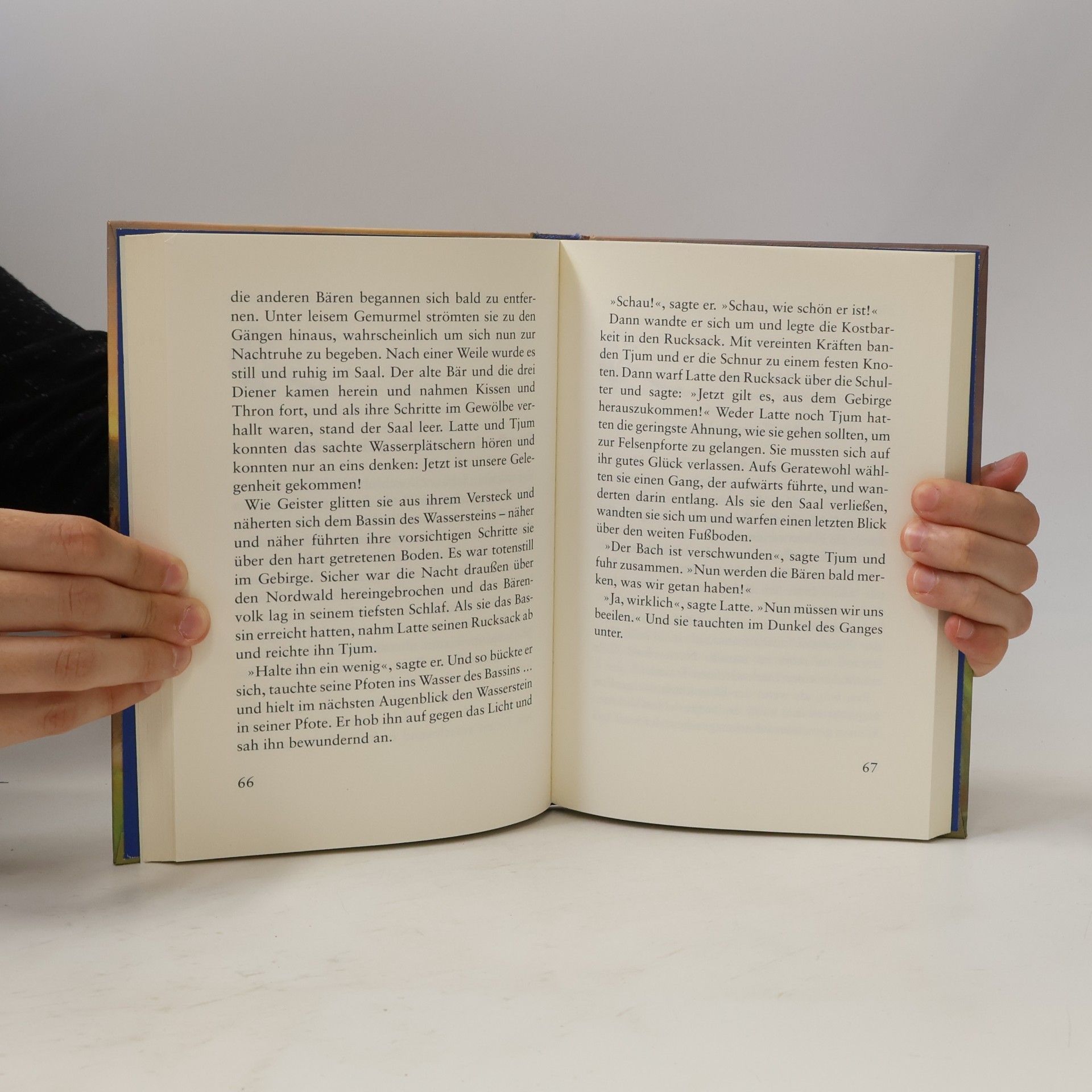 Sebastian Lybeck Latte Igel und der Wasserstein