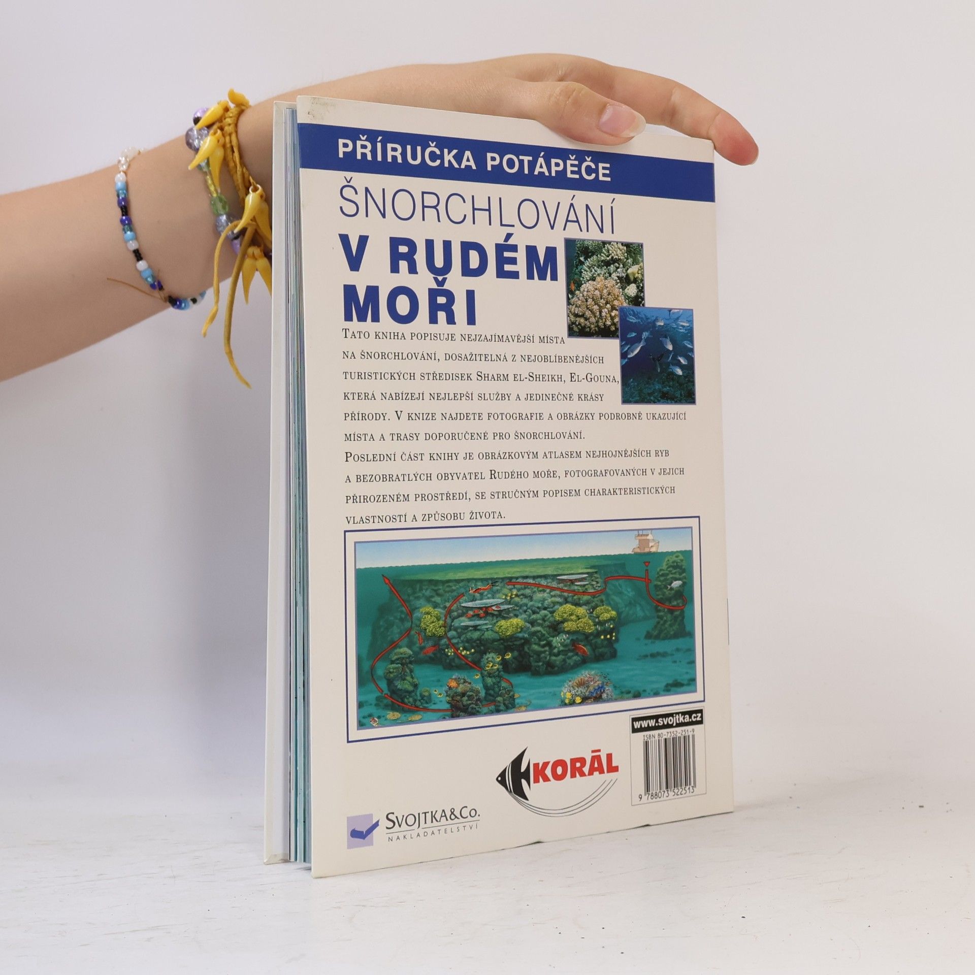 Claudio Cangini Šnorchlování v Rudém moři