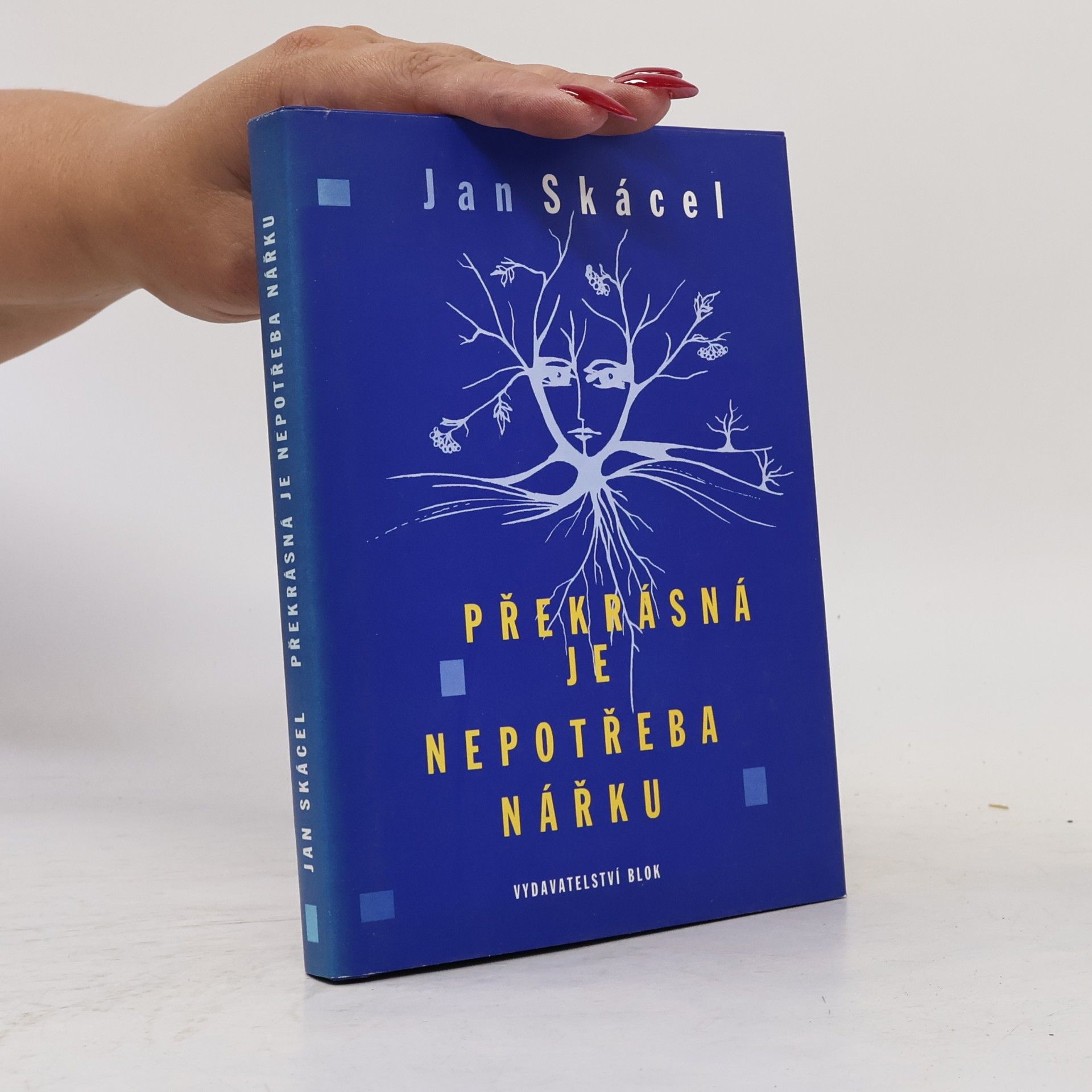 Luisa Nováková Překrásná je nepotřeba nářku