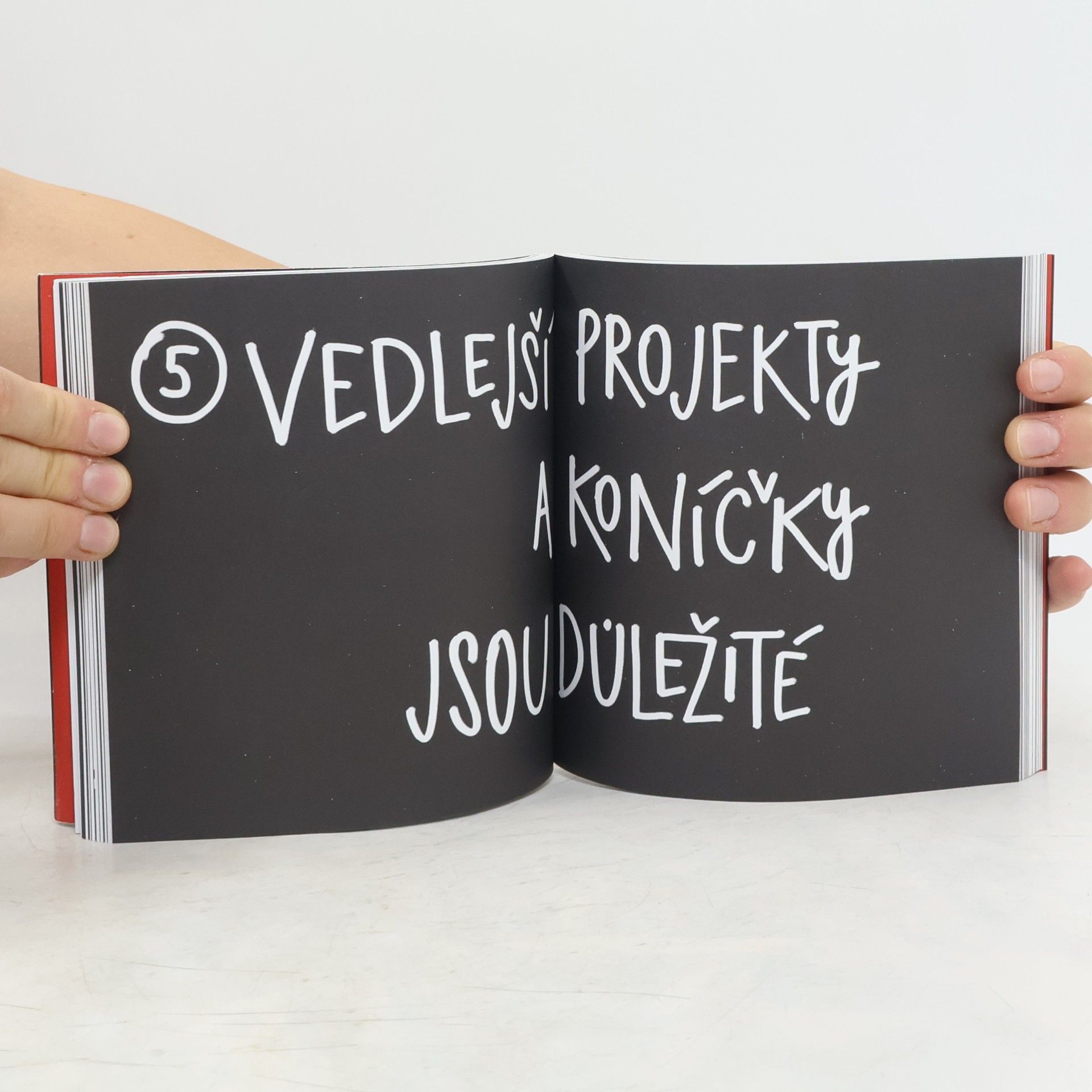 Austin Kleon Kraď jako umělec. 10 věcí, které ti nikdo neřekl o kreativitě