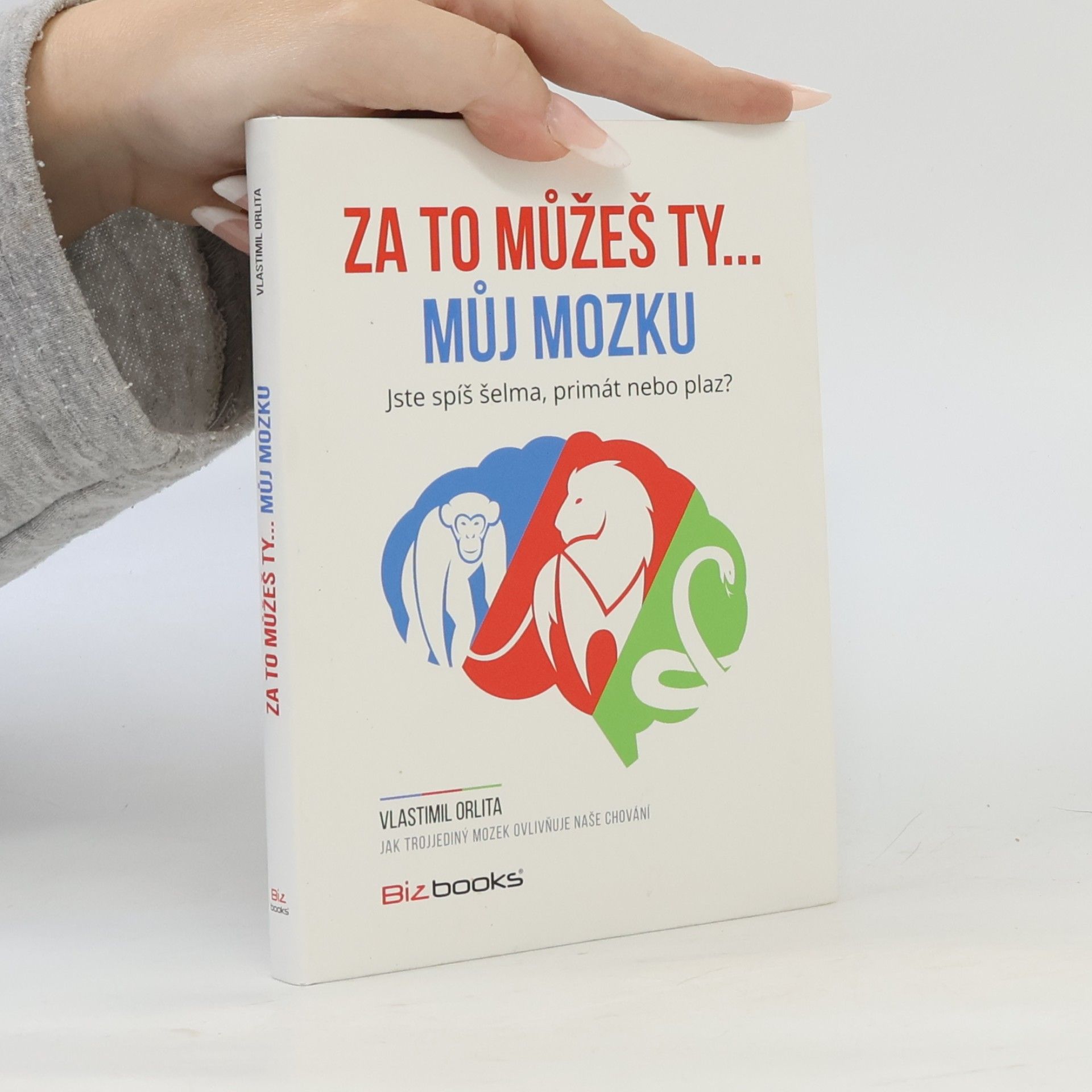 Vlastimil Orlita Za to můžeš ty... můj mozku!