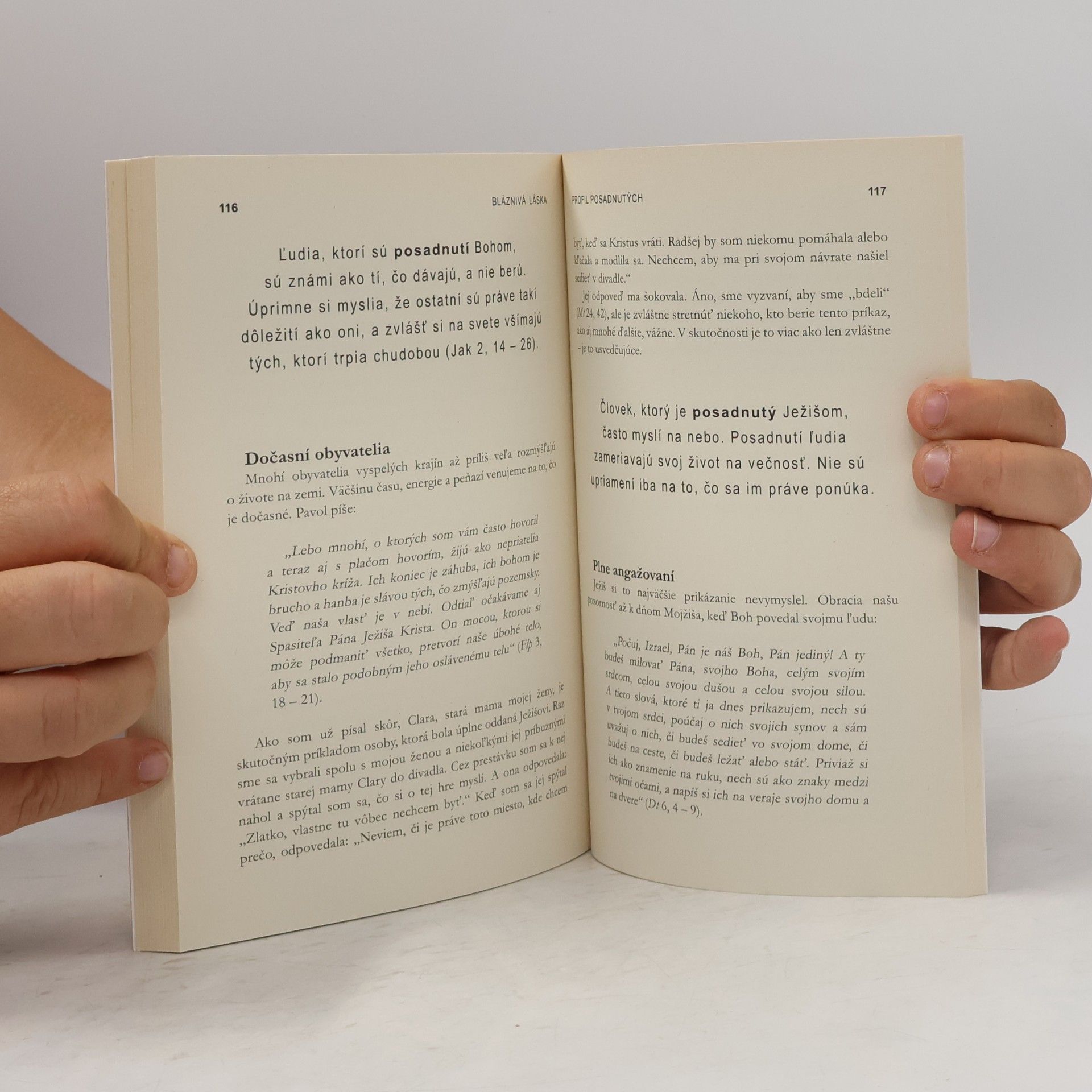 Francis Chan Bláznivá láska