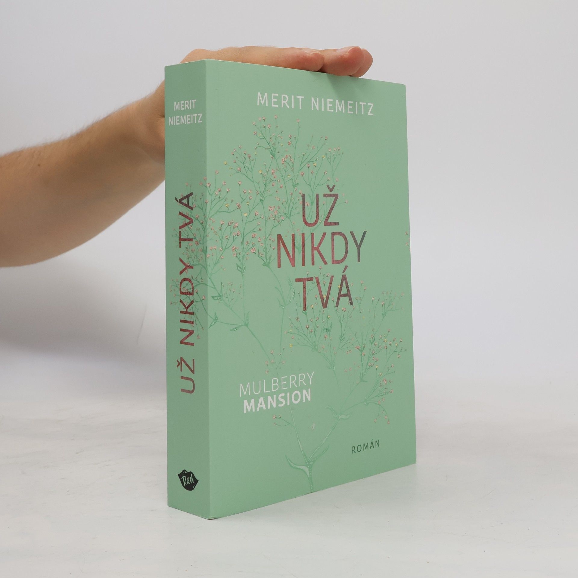 Merit Niemeitz Už nikdy tvá