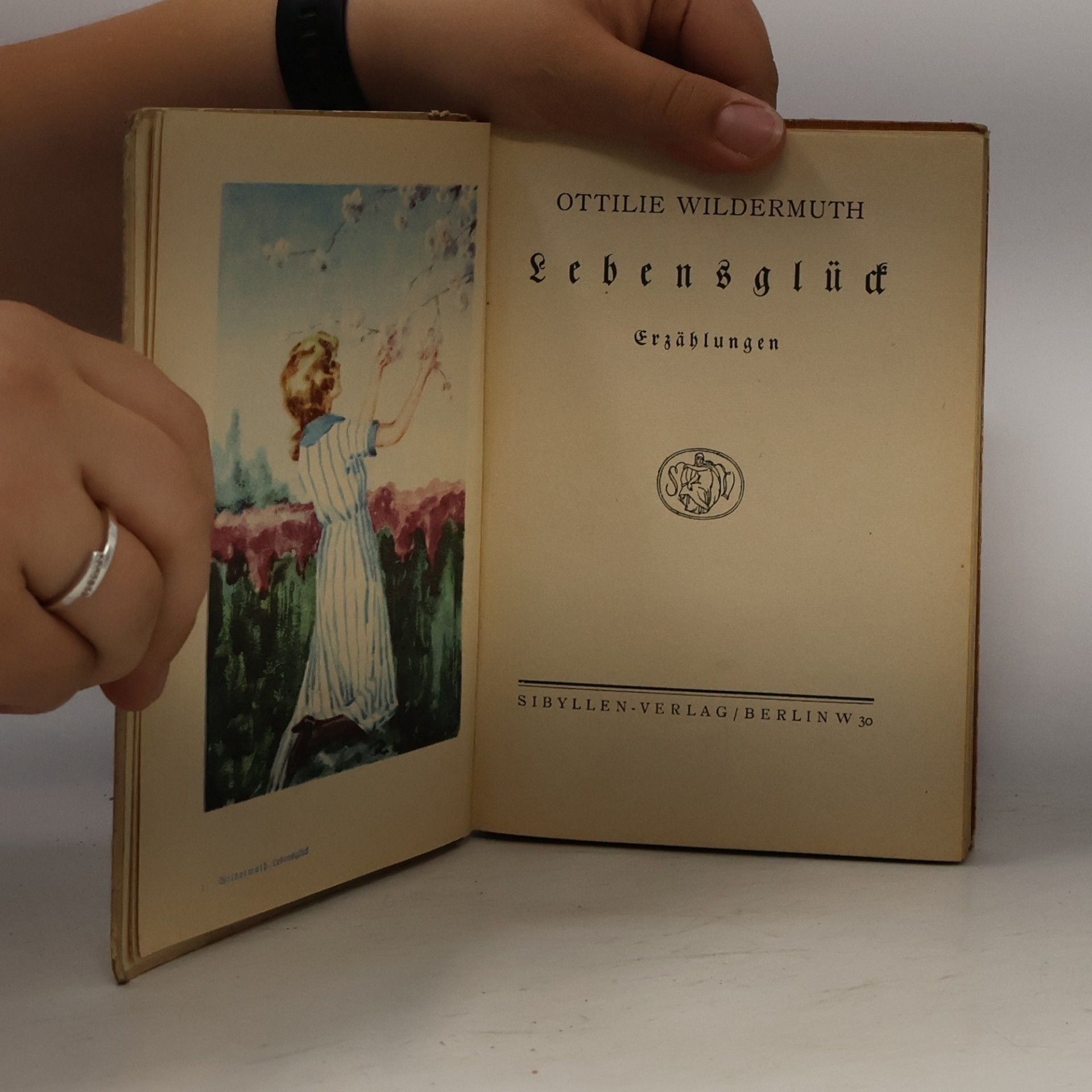 Ottilie Wildermuth Lebensglück