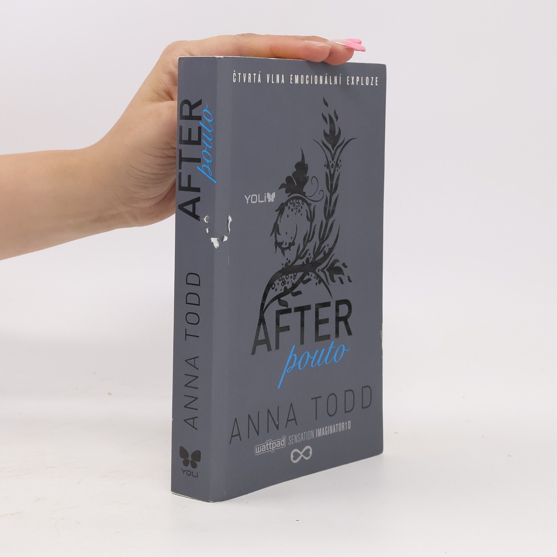 Anna Todd After. Pouto