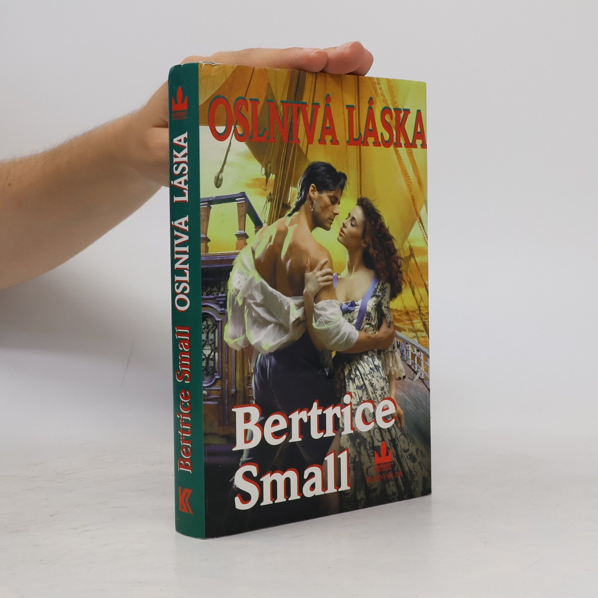 Bertrice Small Oslnivá láska