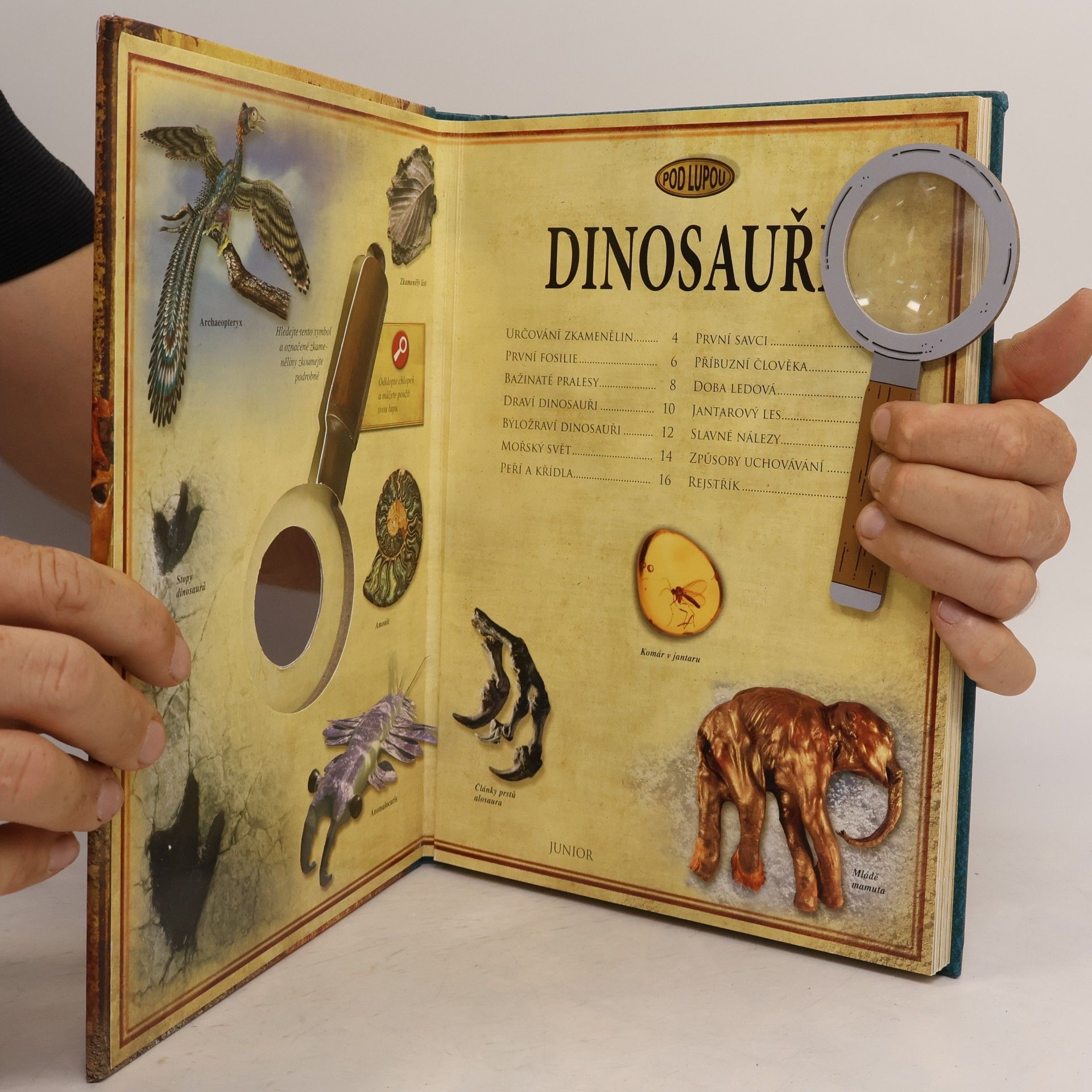 Douglas Palmer Dinosauři. Prohlédněte si zblízka neobyčejný svět pravěku