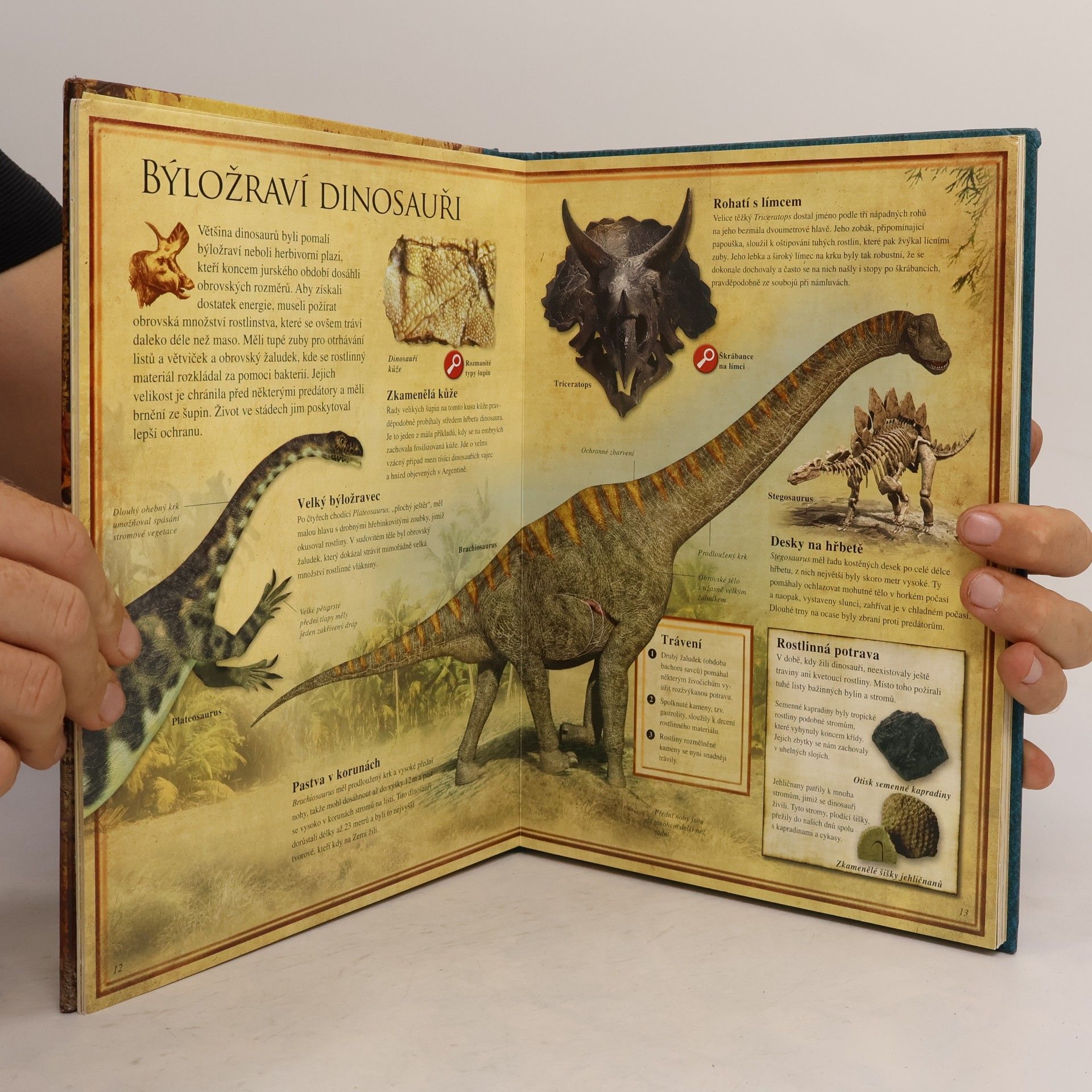 Douglas Palmer Dinosauři. Prohlédněte si zblízka neobyčejný svět pravěku